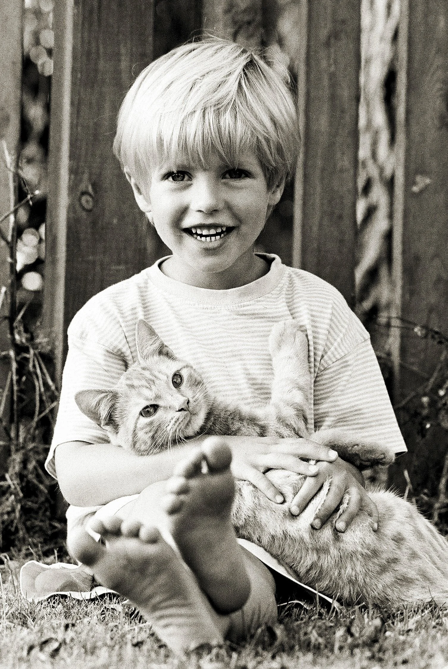 A young boy with blonde hair smiling and holding a kitten outside near a wooden fence.