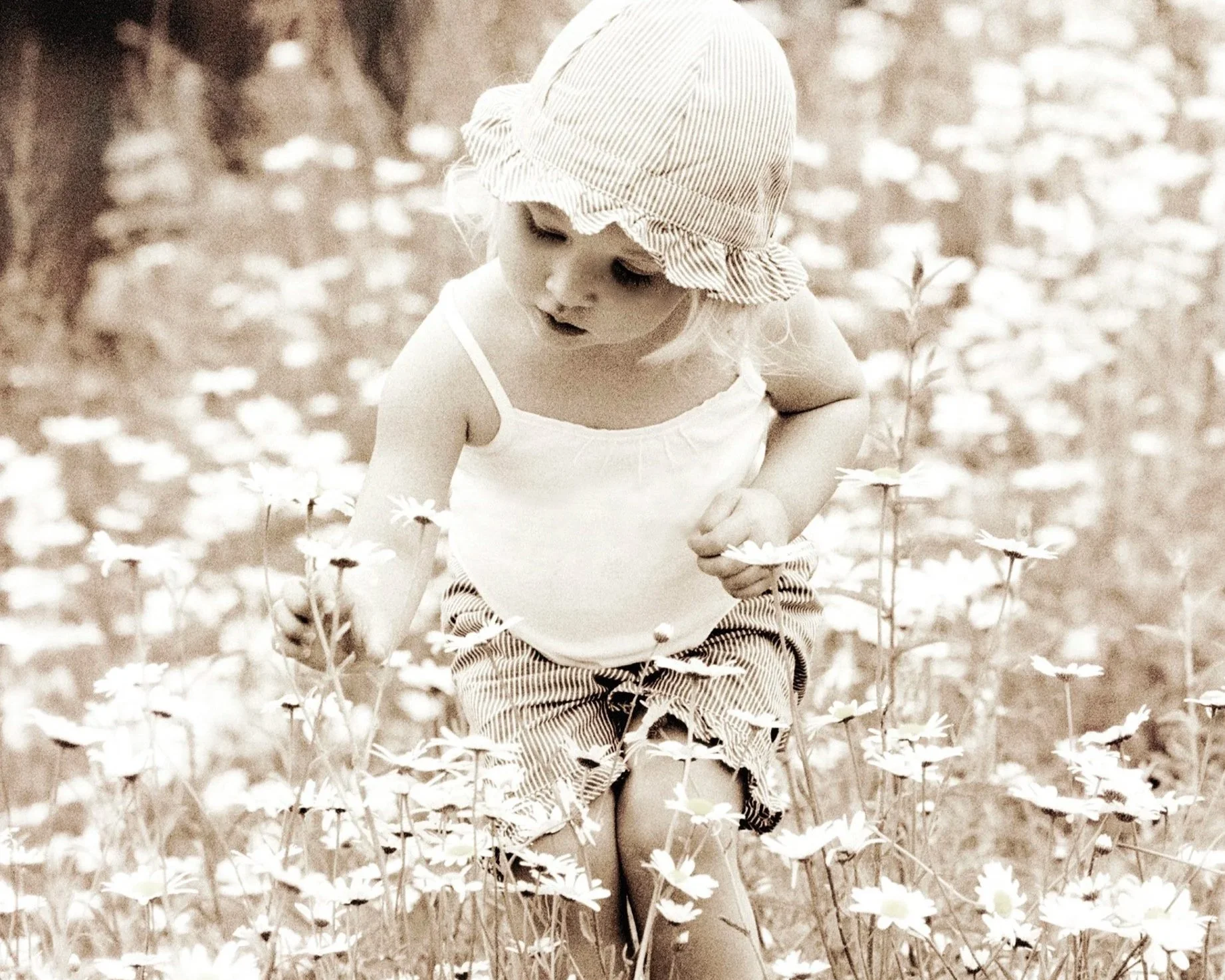A young girl wearing a hat and striped shorts exploring a field of flowers.