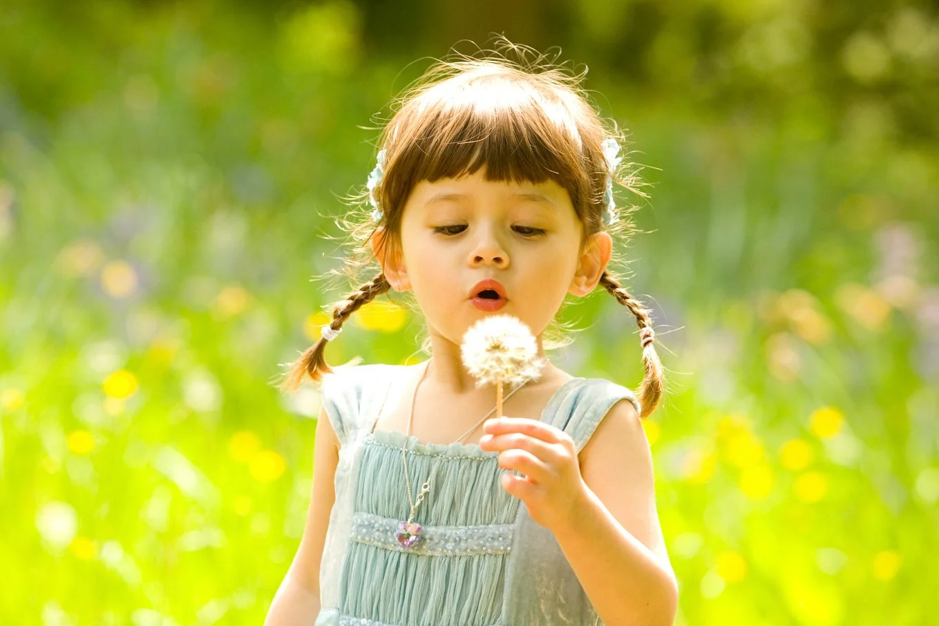 A young girl with pigtails holding a dandelion puffball outdoors in a grassy field.