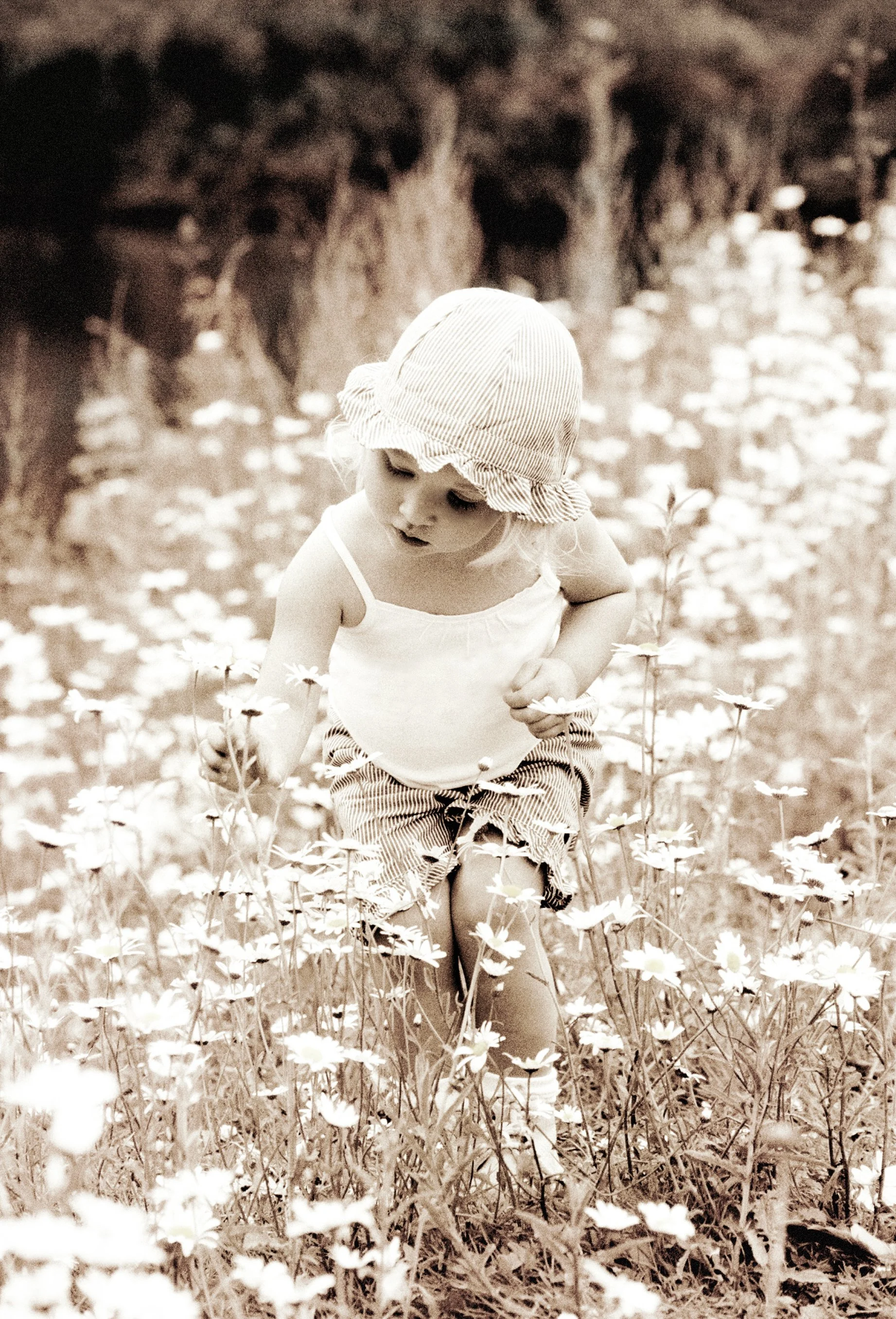 A young girl wearing a striped sun hat and tank top, crouching in a field of daisies, looking at the flowers.