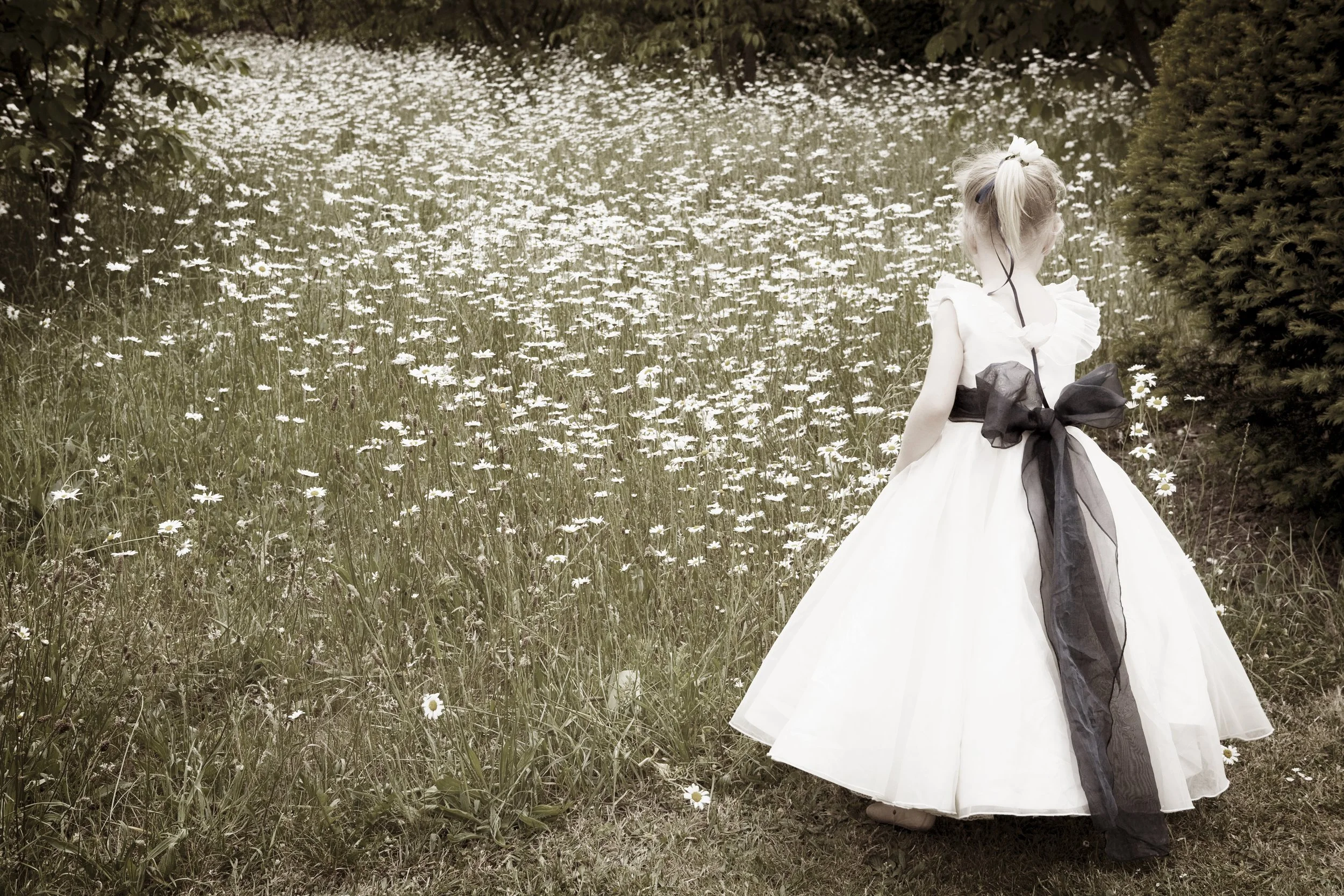 A young girl in a white dress with a large black bow, standing in a field of daisies with trees in the background.