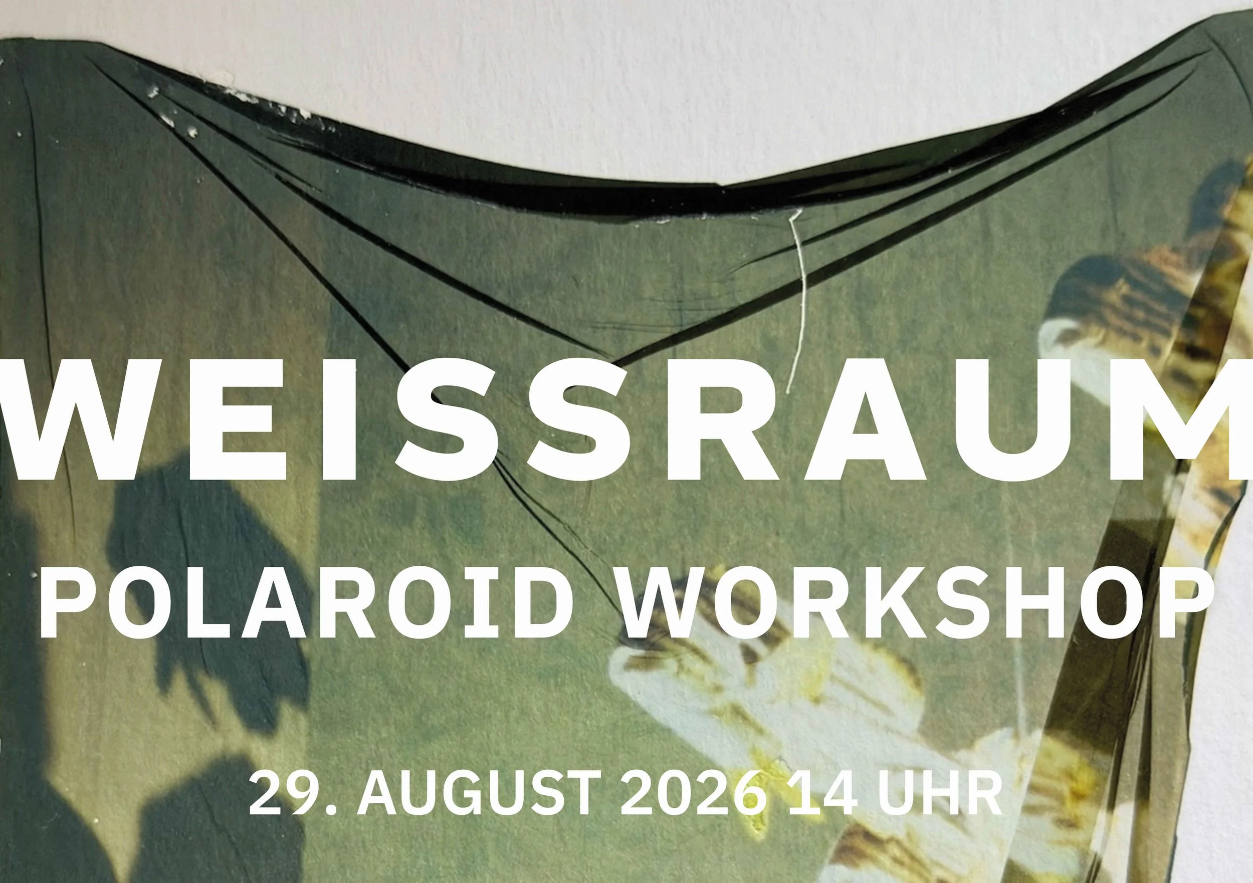 workshop: polaroid emulsion