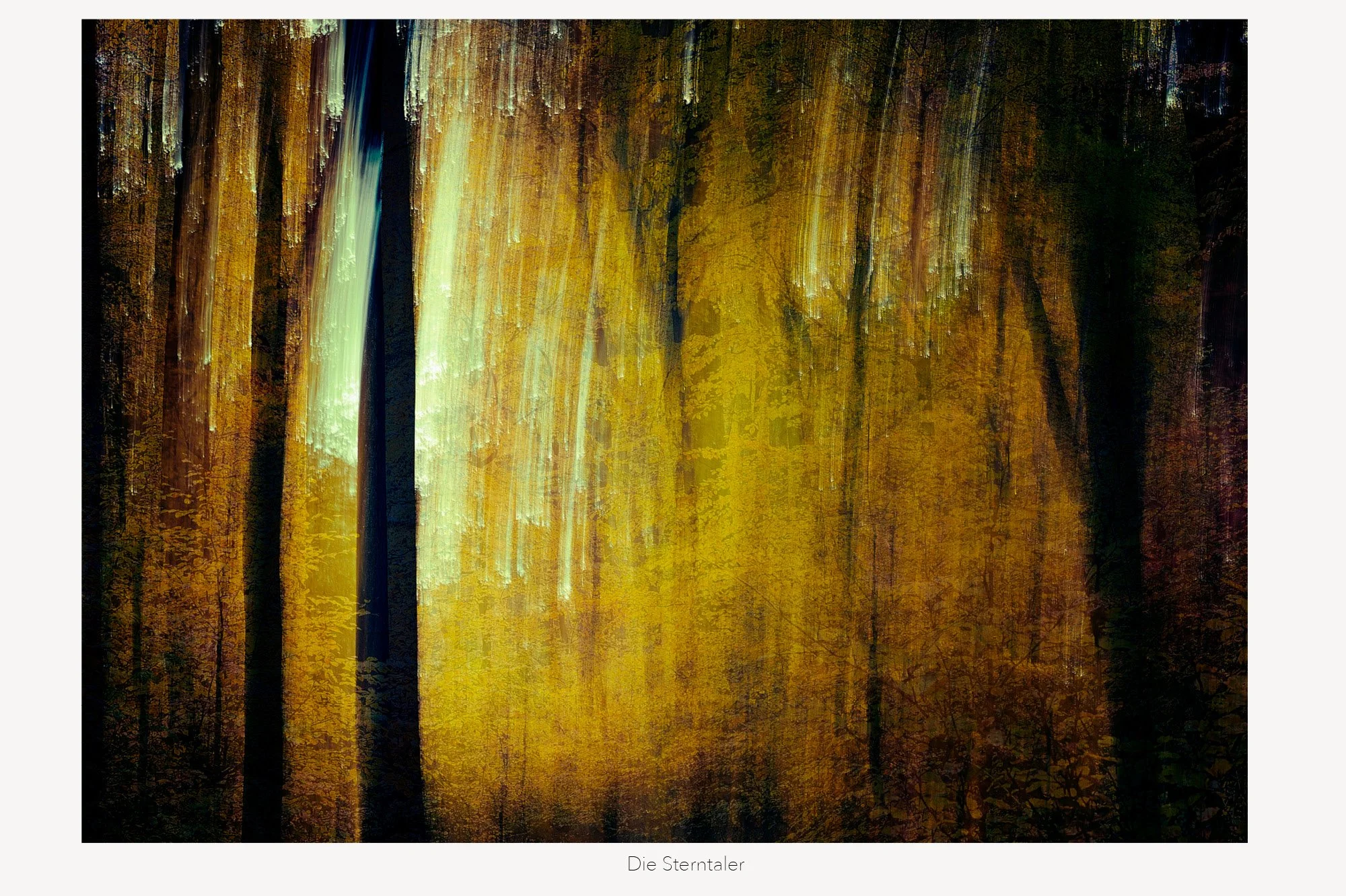 Abstraktes Kunstwerk mit vertikalen Linien in warmen Gold-, Gelb- und Braun-Tönen, inspiriert von einem Herbstwald mit Bäumen. Der Titel lautet 'Die Sterntaler'.