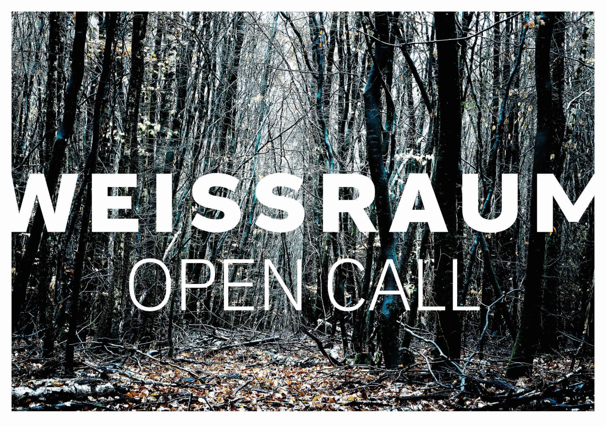 Im Dickicht.  weissraum open call 