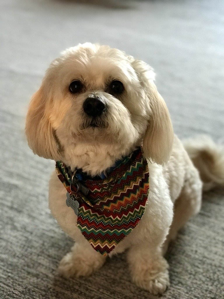 Image - 2025-11-25T172649.272.jfif