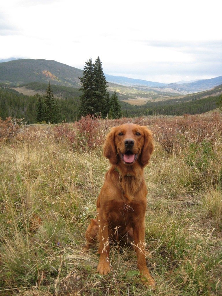 Image - 2025-11-25T163756.712.jfif