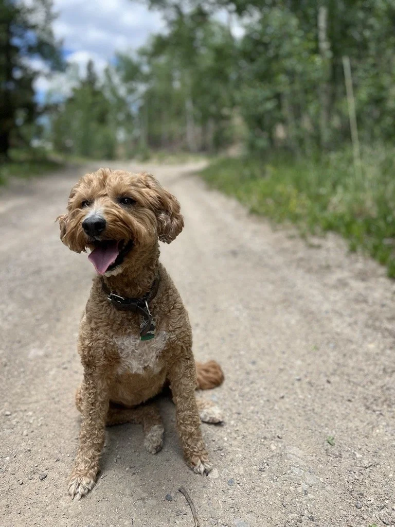 Image - 2025-11-25T104552.885.jfif