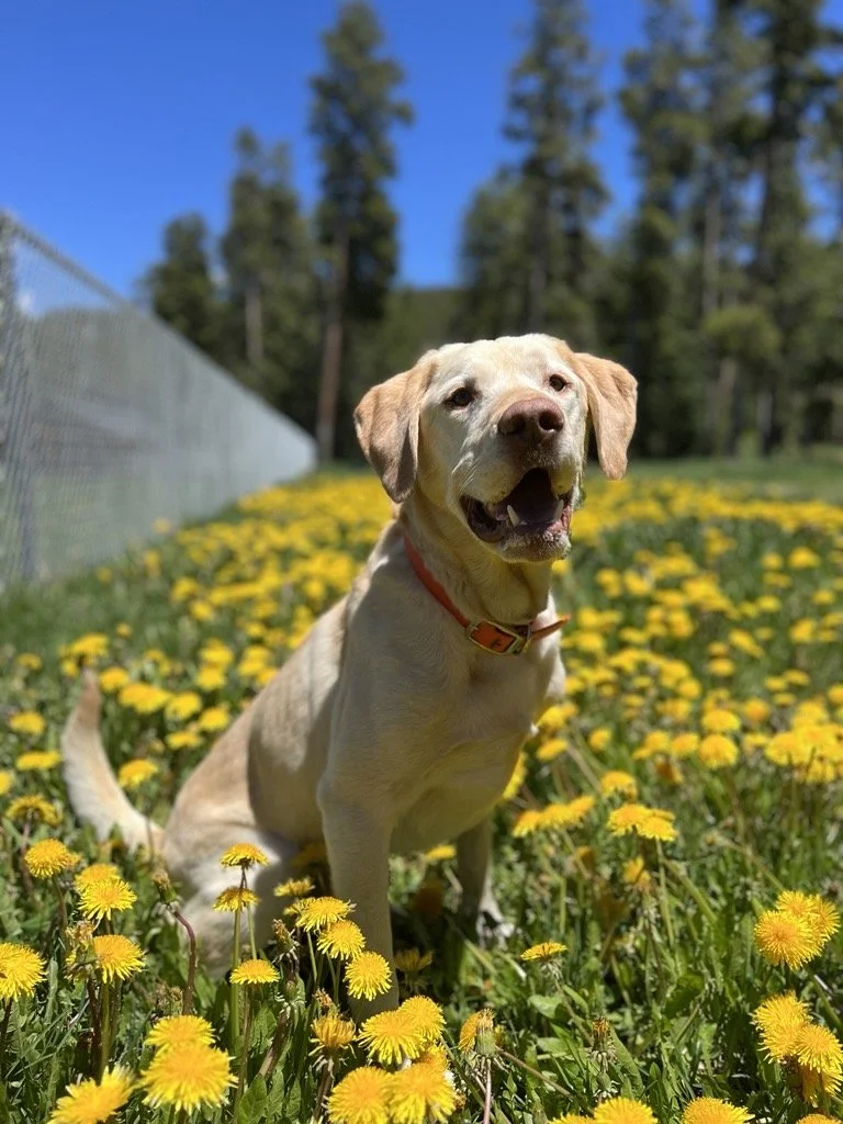 Image - 2025-11-25T093919.044.jfif