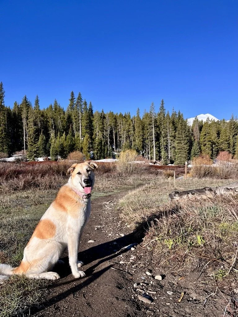 Image - 2025-11-25T120931.616.jfif