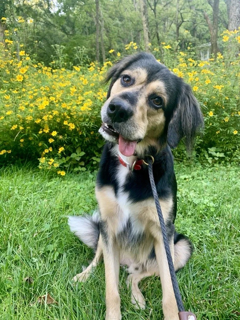 Image - 2025-11-25T173020.153.jfif