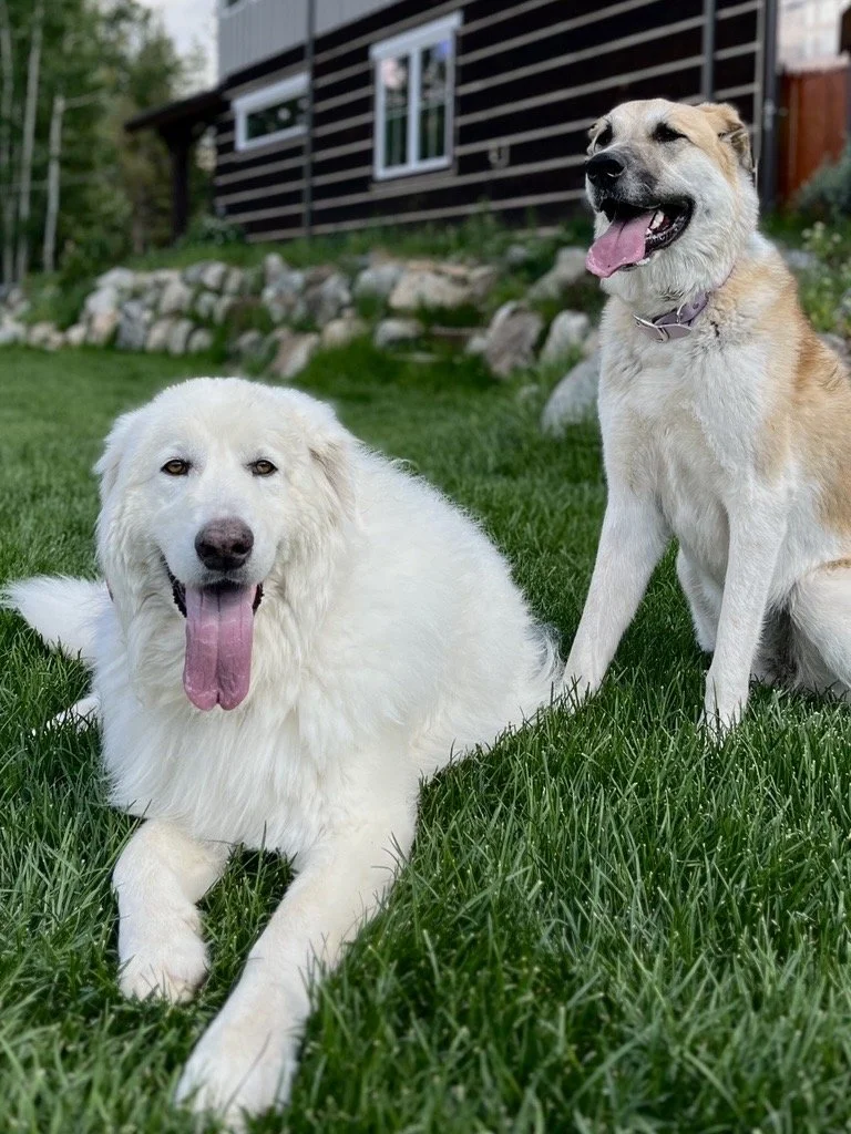 Image - 2025-11-25T171641.716.jfif