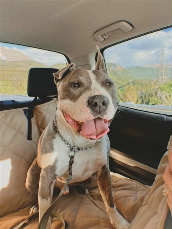 Image - 2025-11-25T162941.434.jfif