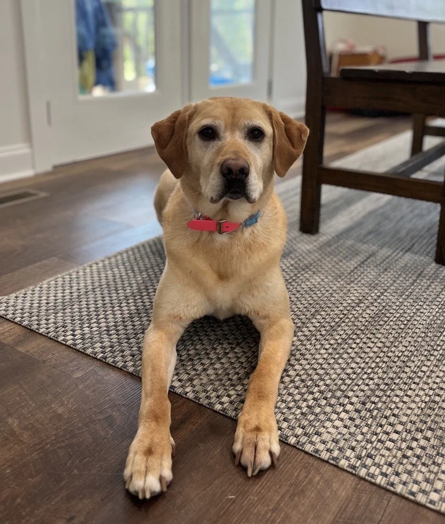 Image - 2025-11-25T095823.009.jfif