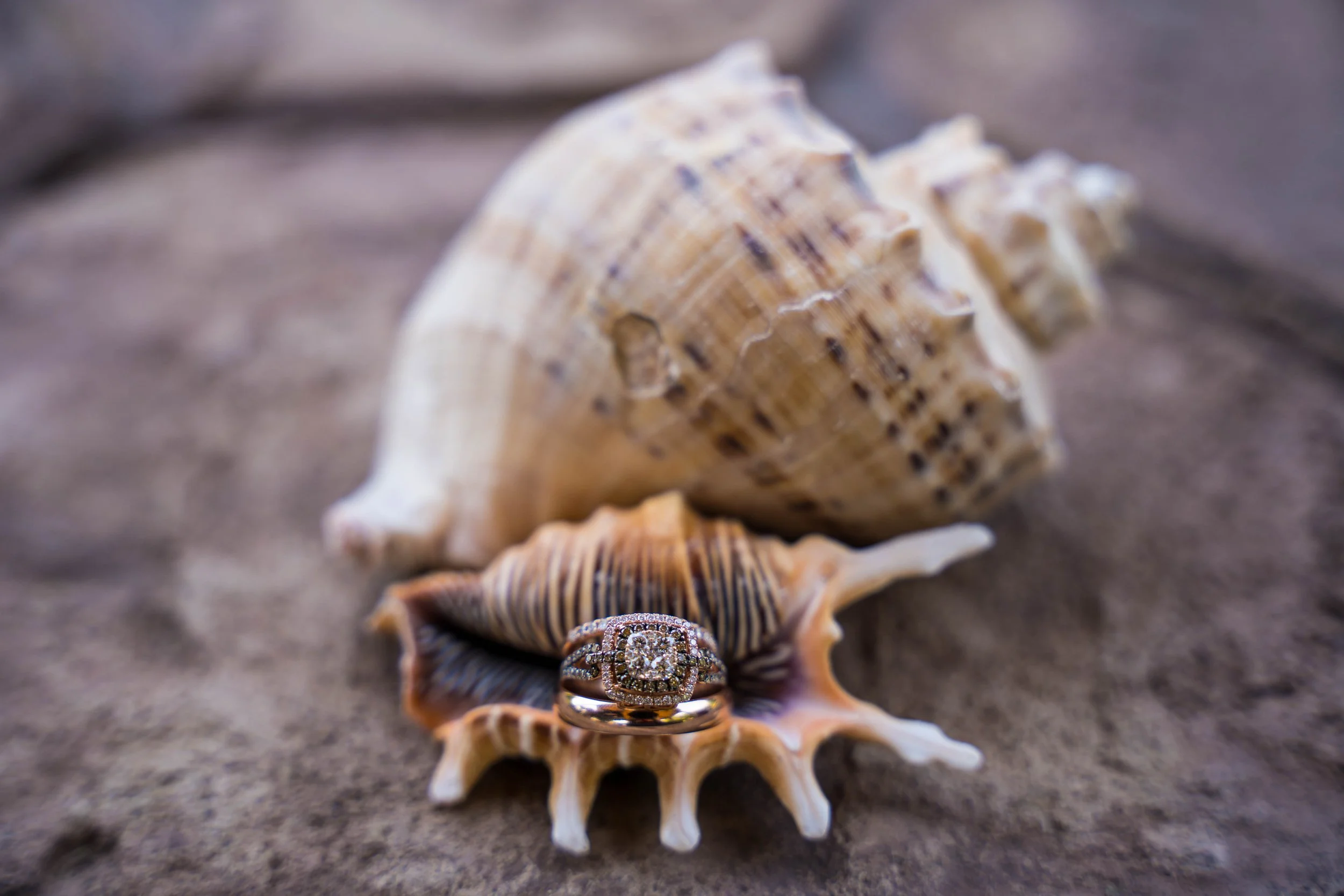 Close-up of a large seashell on a sandy surface, with a diamond engagement ring placed in front of it. The ring features a prominent square diamond surrounded by smaller diamonds.