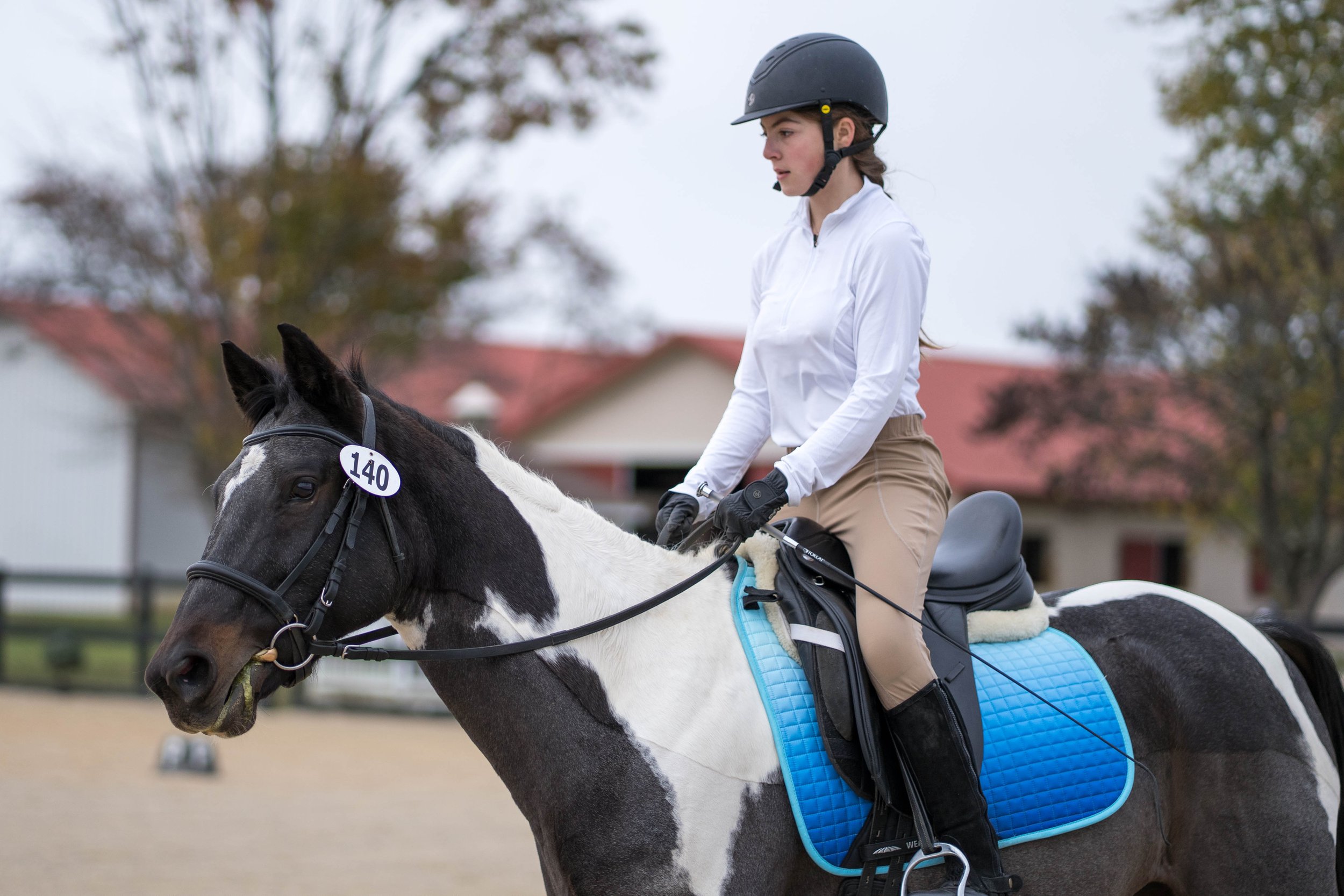 Horse and rider in the dressage ring