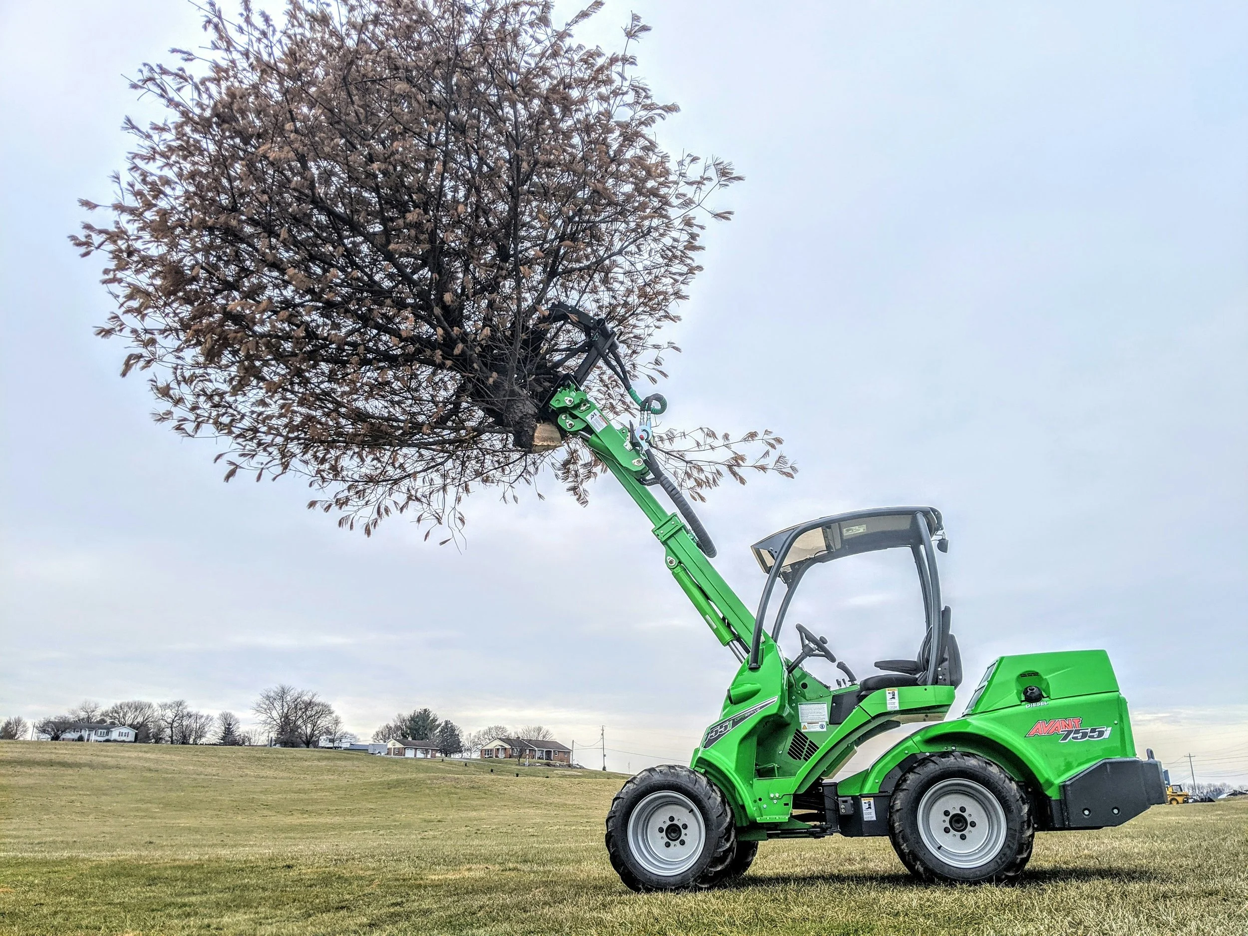 A green compact tracked loader lifting a large tree with brown leaves in an open grassy field.
