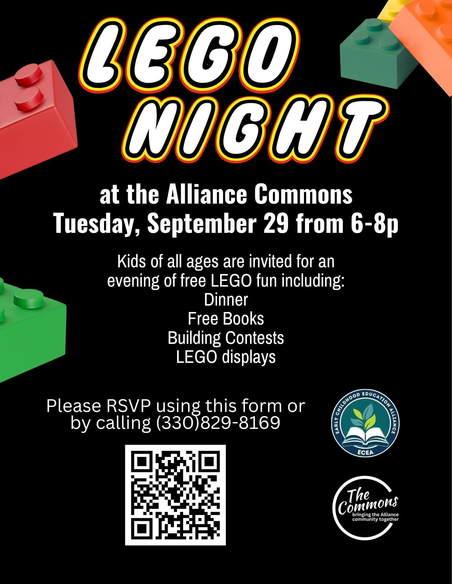LEGO Night