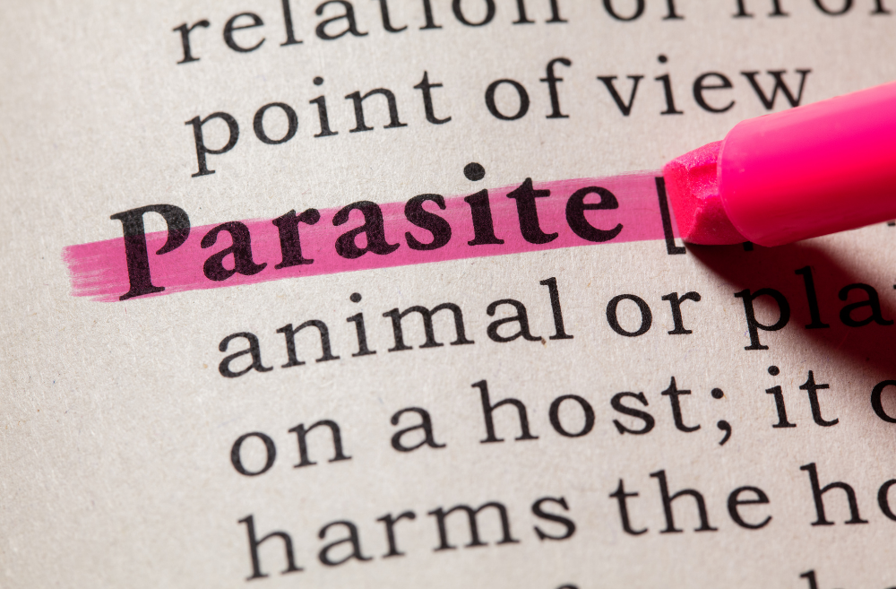Parasites: The Hidden Invaders Affecting Your Health