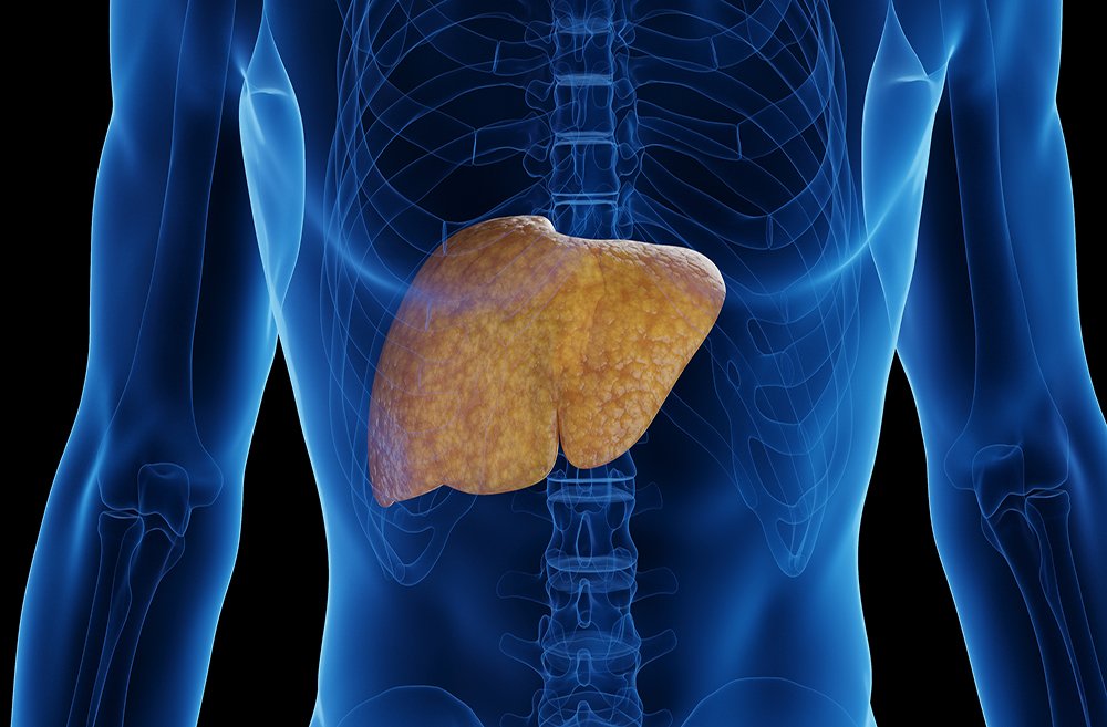 The Liver is the Organ Behind Your Hormones, Weight and Energy 