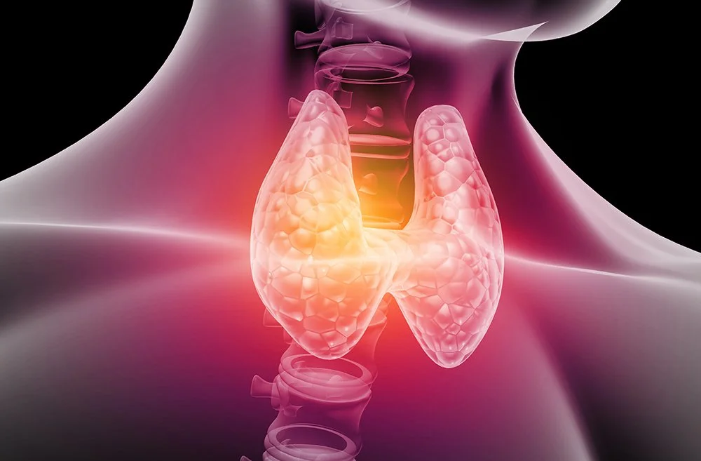 Your Thyroid Is the Master Gland. Treating It With One Lab Test Is Medical Negligence.