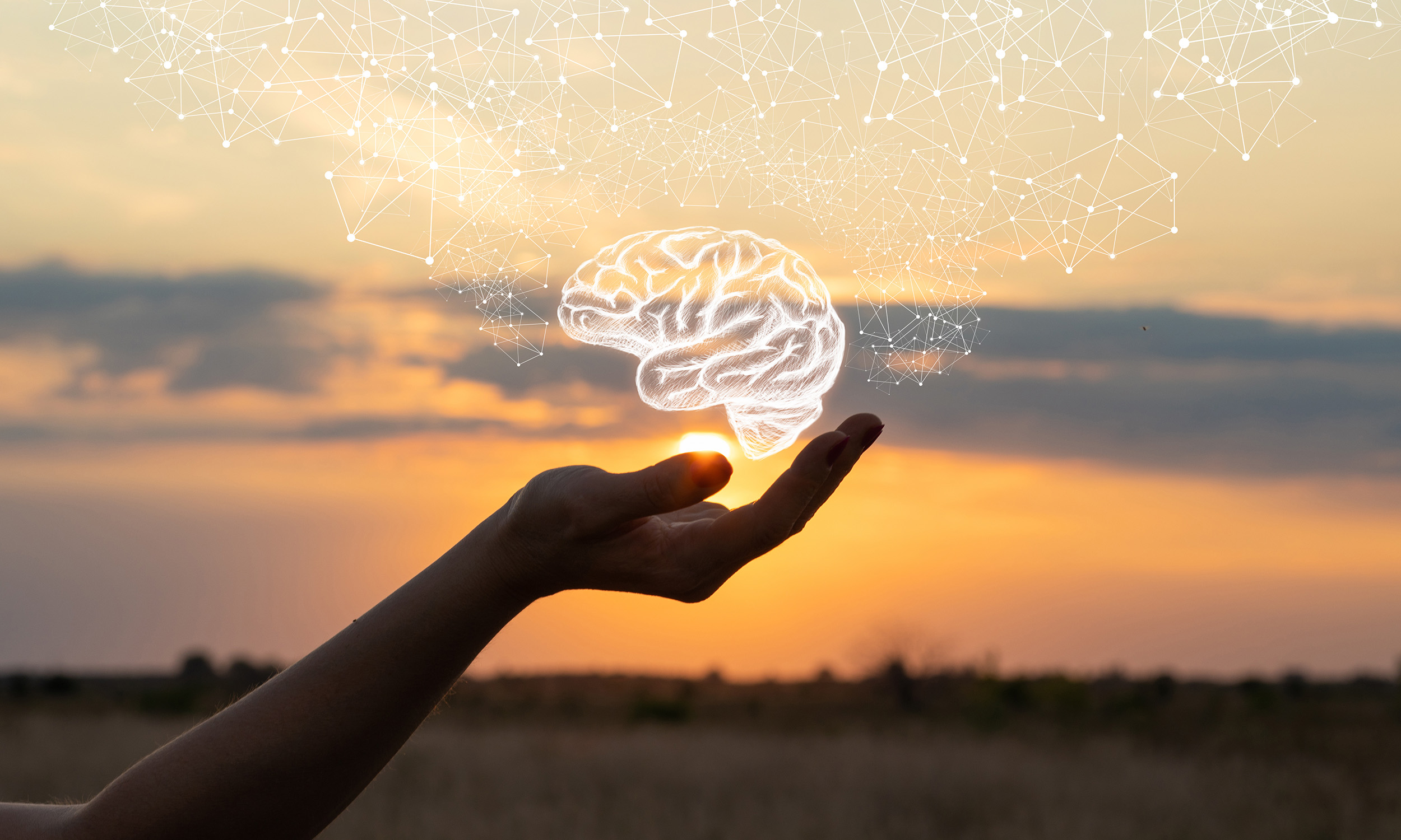 A hand holding a digital illustration of a brain during sunset with a sky filled with clouds, and interconnected lines and nodes above, representing neural networks or brain connectivity.