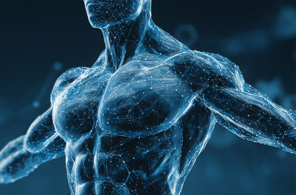 Digital rendering of a human upper body with transparent skin showing neural and muscular networks in a futuristic style.