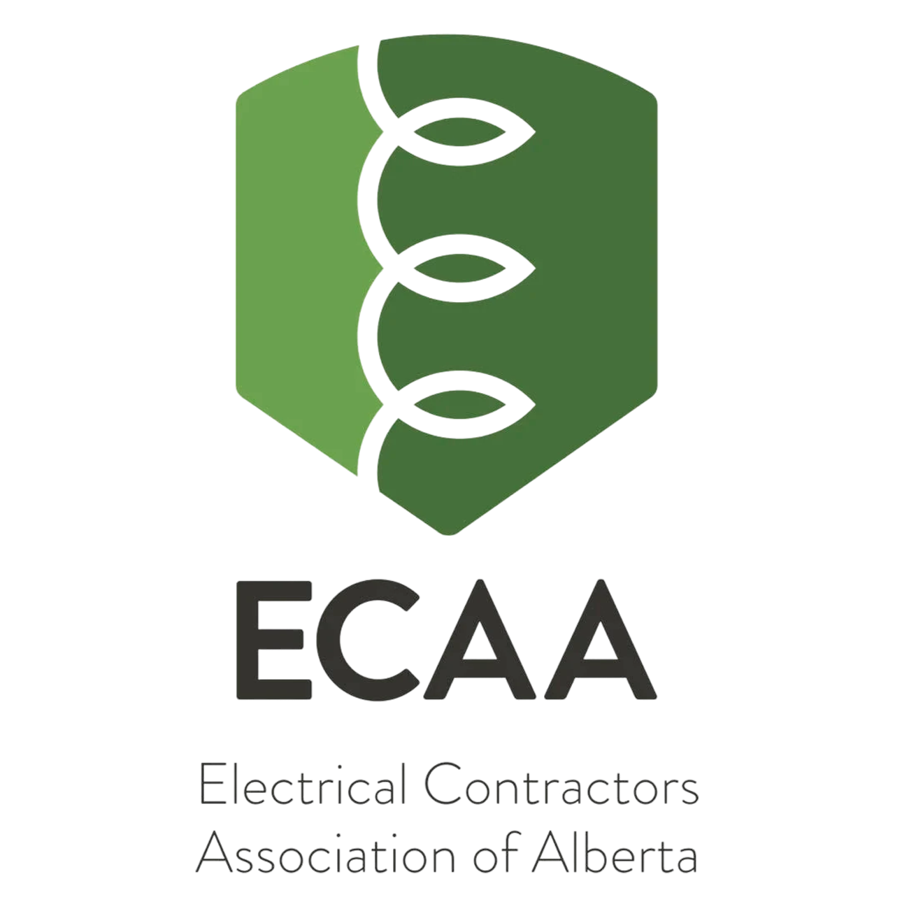 Logo of the Electric Contractors Association of Alberta with a green abstract lightning bolt symbol above the black text 'ECAA' and the full name below.