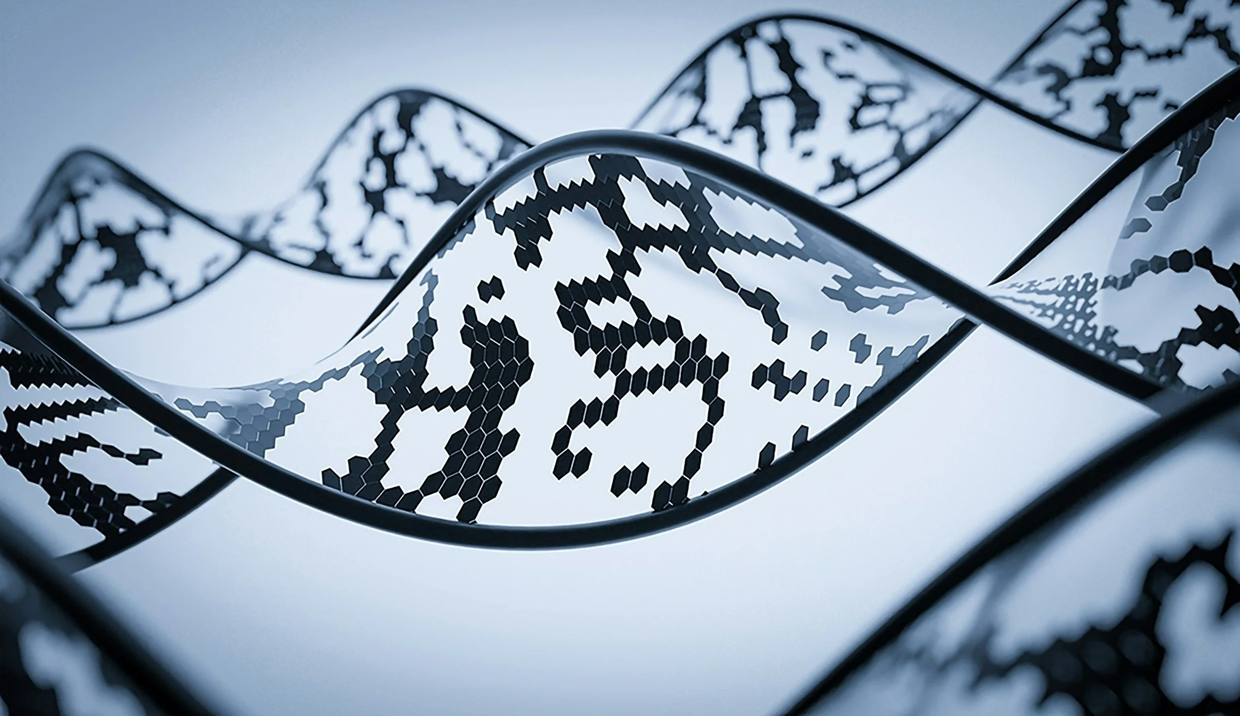 Founder Spotlight: What Recruitment with Agency DNA Really Means