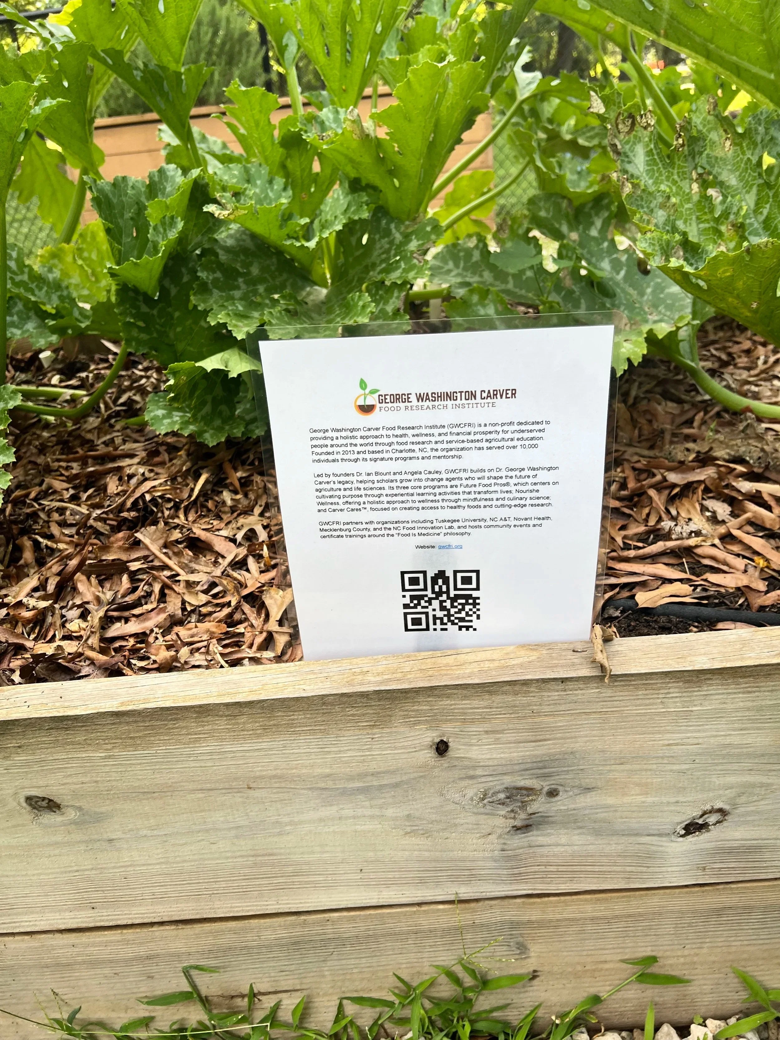 From Soil to Soul: How One Garden Juneteenth Event Turned into a Living Lesson in Partnership and Purpose