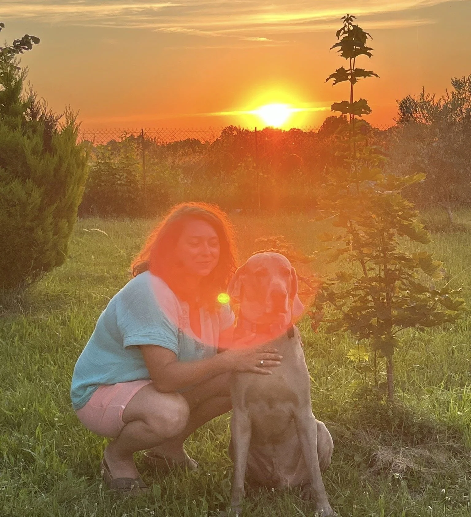 Fanny Quinet et un chien de race Beagle faisant un soin énergétique  lors d'un coucher de soleil dans un champ vert avec des petits arbres dans l'Hérault, à Restinclières 34160