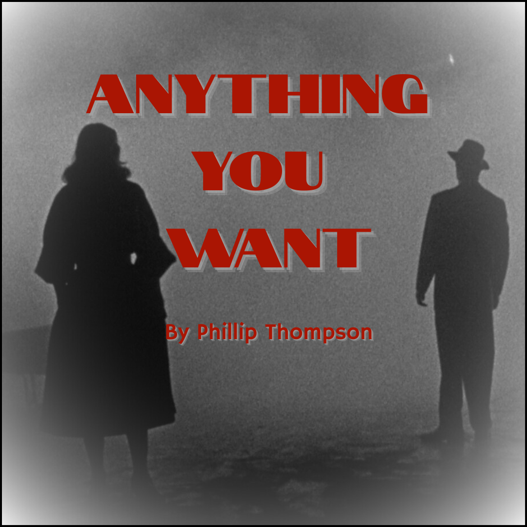 Book cover titled 'Anything You Want' by Philip Thompson, featuring a black and white silhouette of a man and woman standing apart on a beach, with red text.