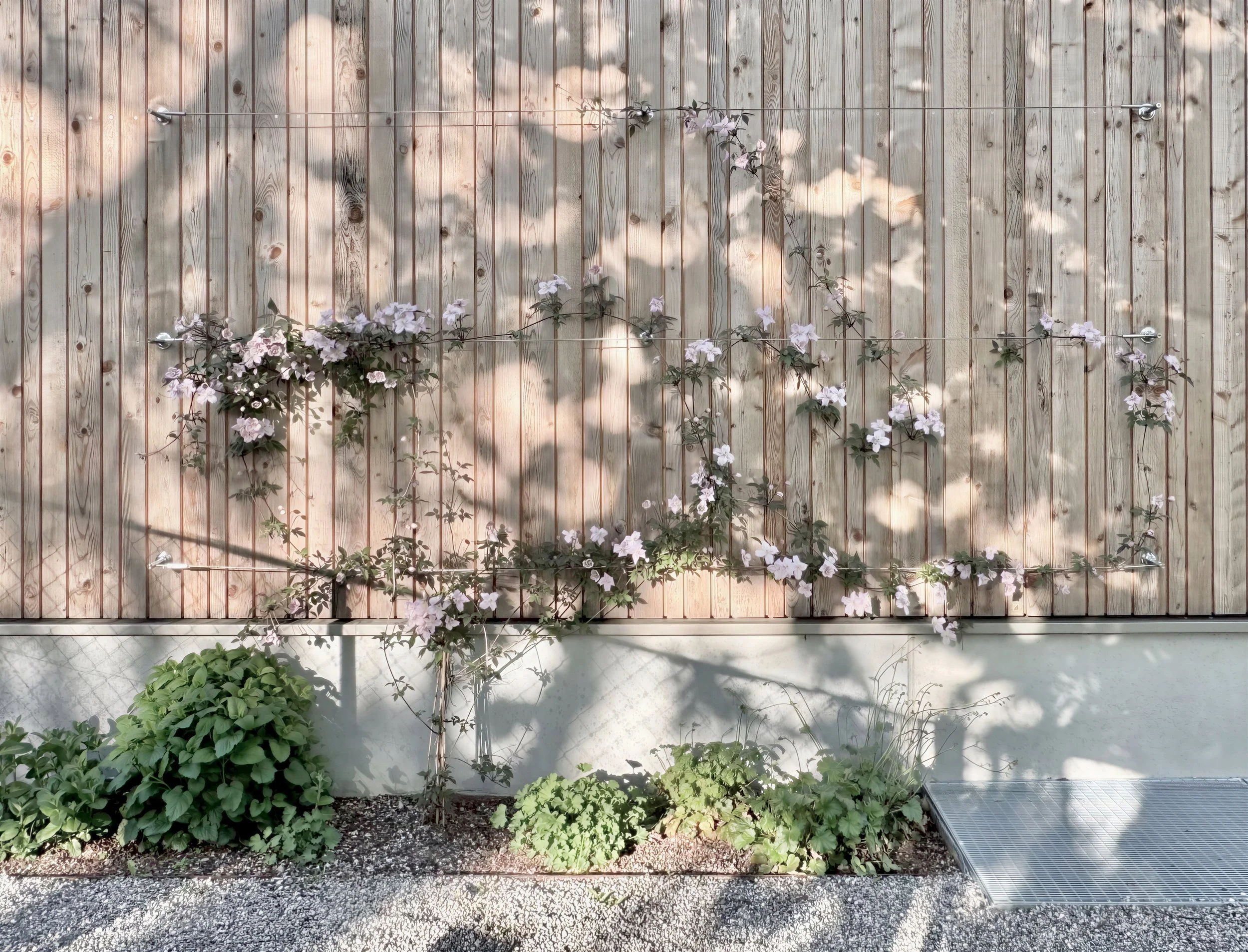 Kinderhaus Rankweil Markt | Lauschiger Spielgarten im Frühling