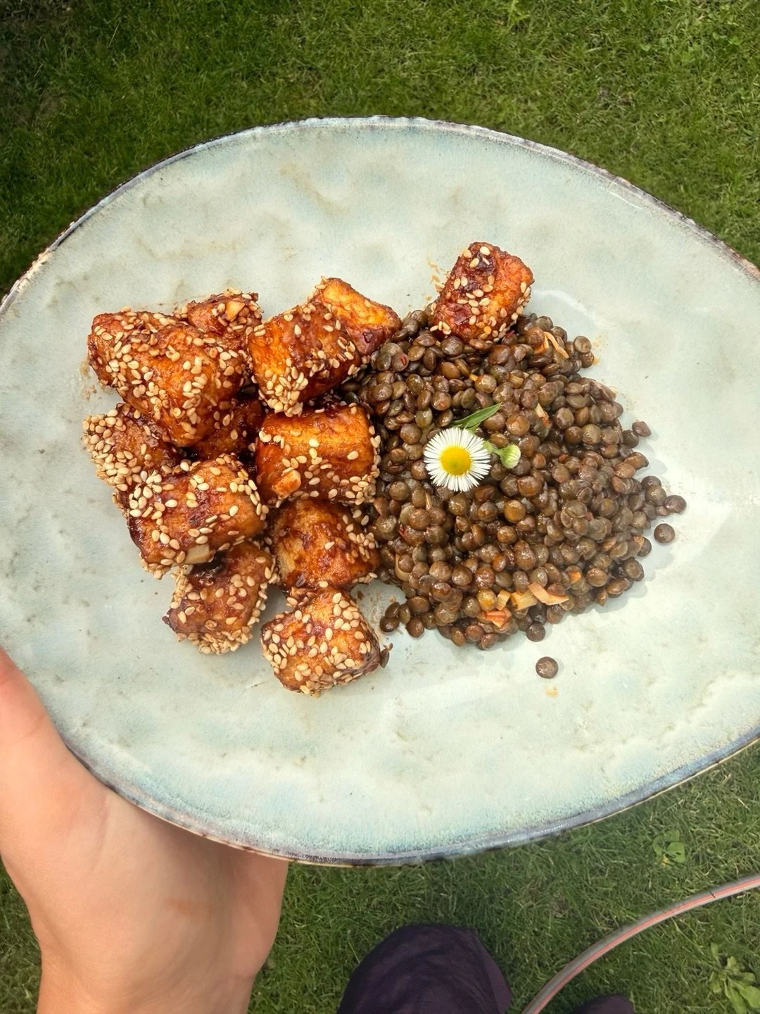 Knuspriger Tofu, w&uuml;rzige Linsen &amp; s&uuml;&szlig;-saure Tamarinde ✨
Dieses Bowl-Meal ist schnell gemacht, proteinreich und voller Geschmack 🌿
🌿 Protein Bowl mit Tofu, Linsen &amp; Tamarinde

Ein schnelles, s&auml;ttigendes Power-Meal mit kn
