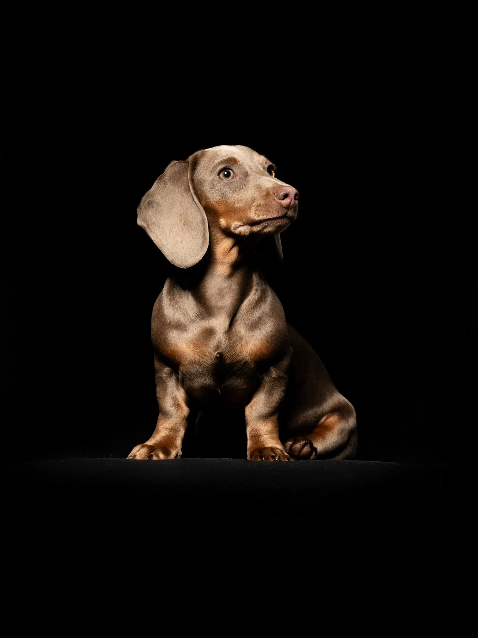 Foto 05-02-26, 15 57 49.jpg