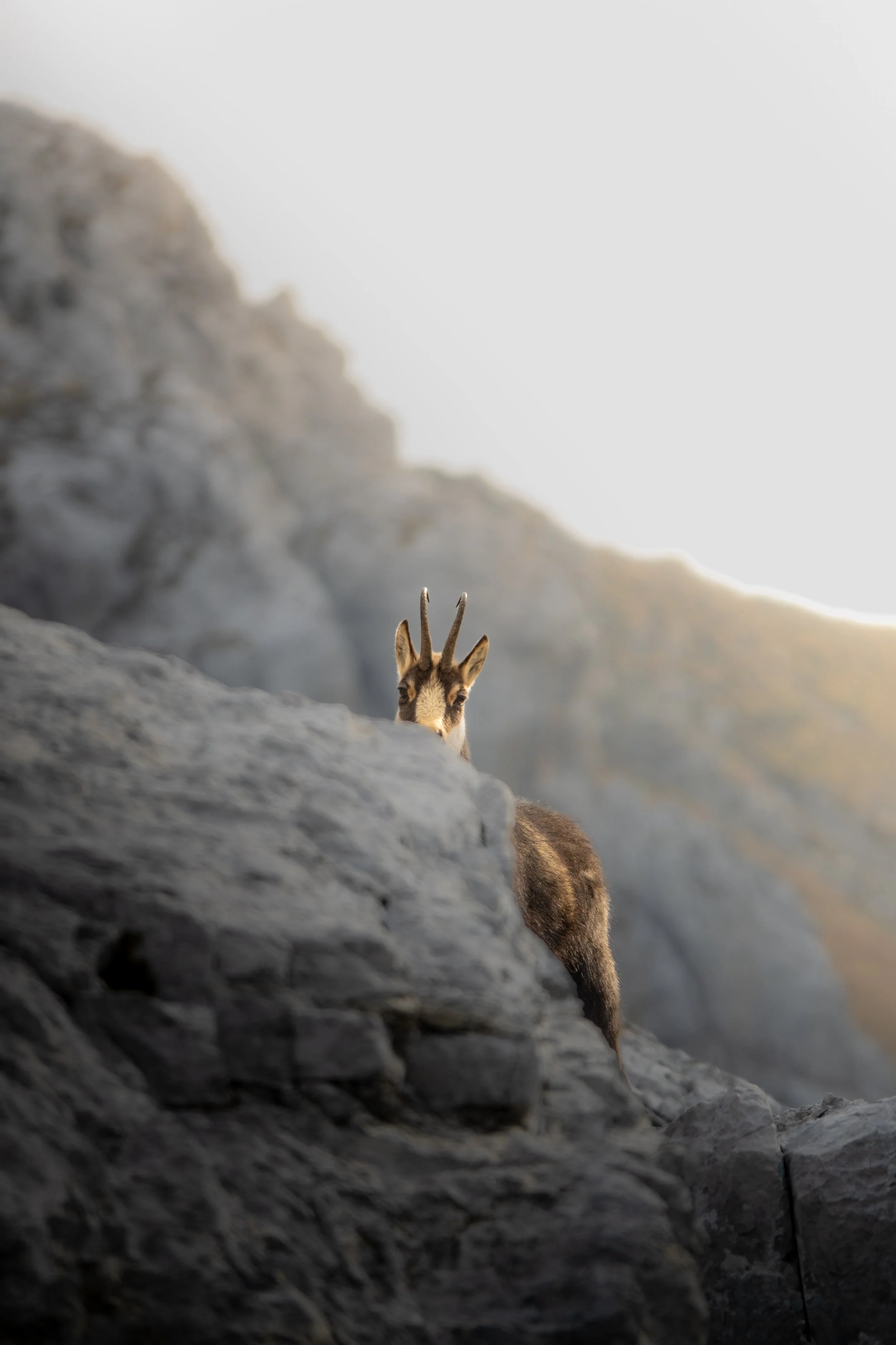 Foto 14-10-23, 09 44 29.jpg