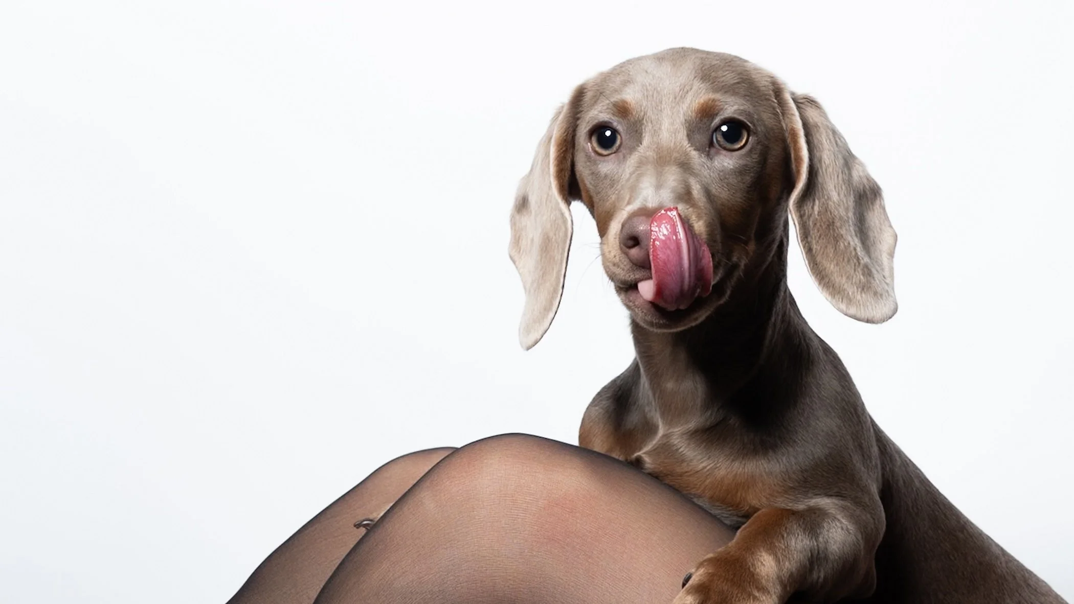 Foto 05-02-26, 15 51 44.jpg