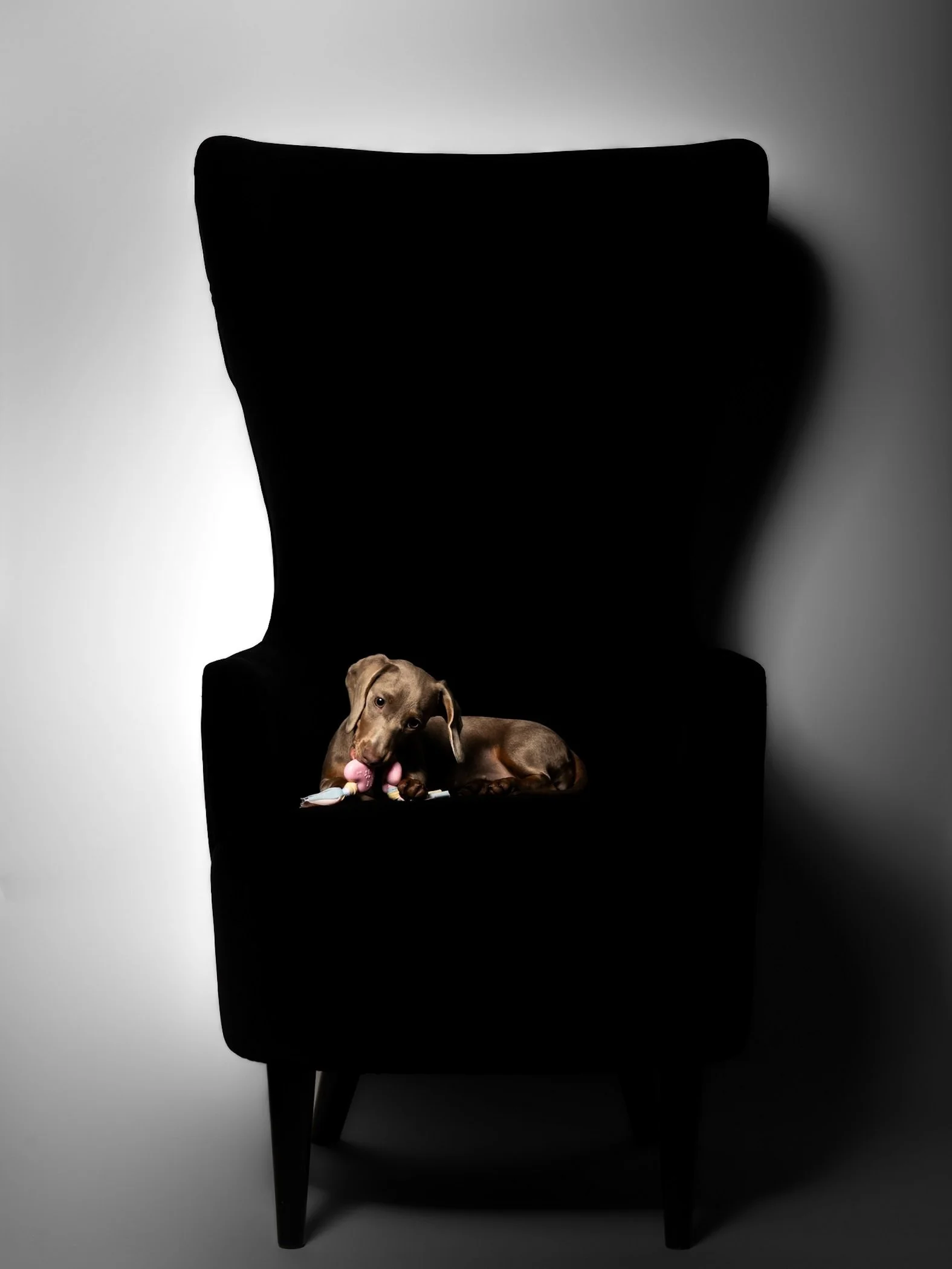 Foto 05-02-26, 15 56 54.jpg