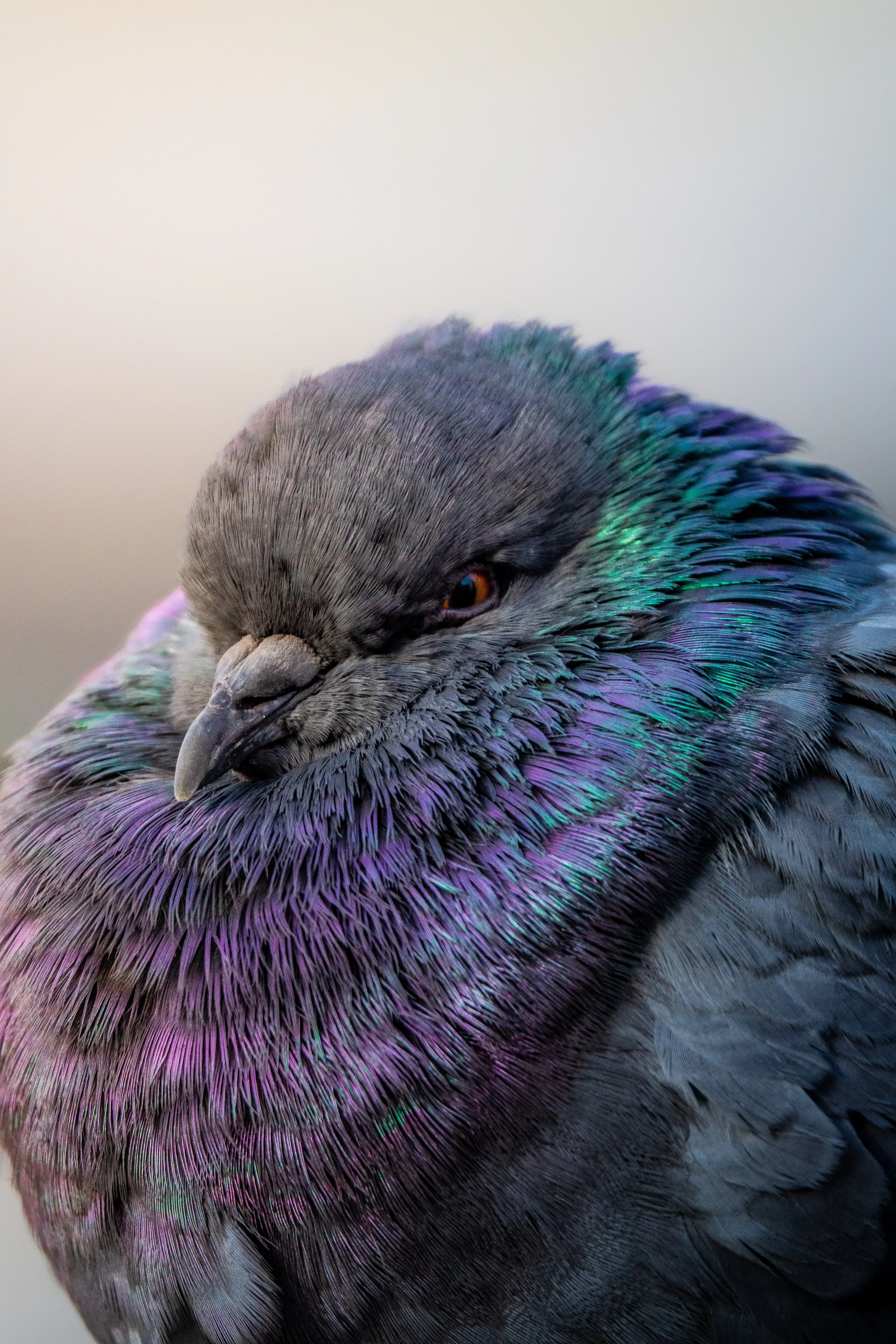 Foto 12-11-23, 14 47 12.jpg