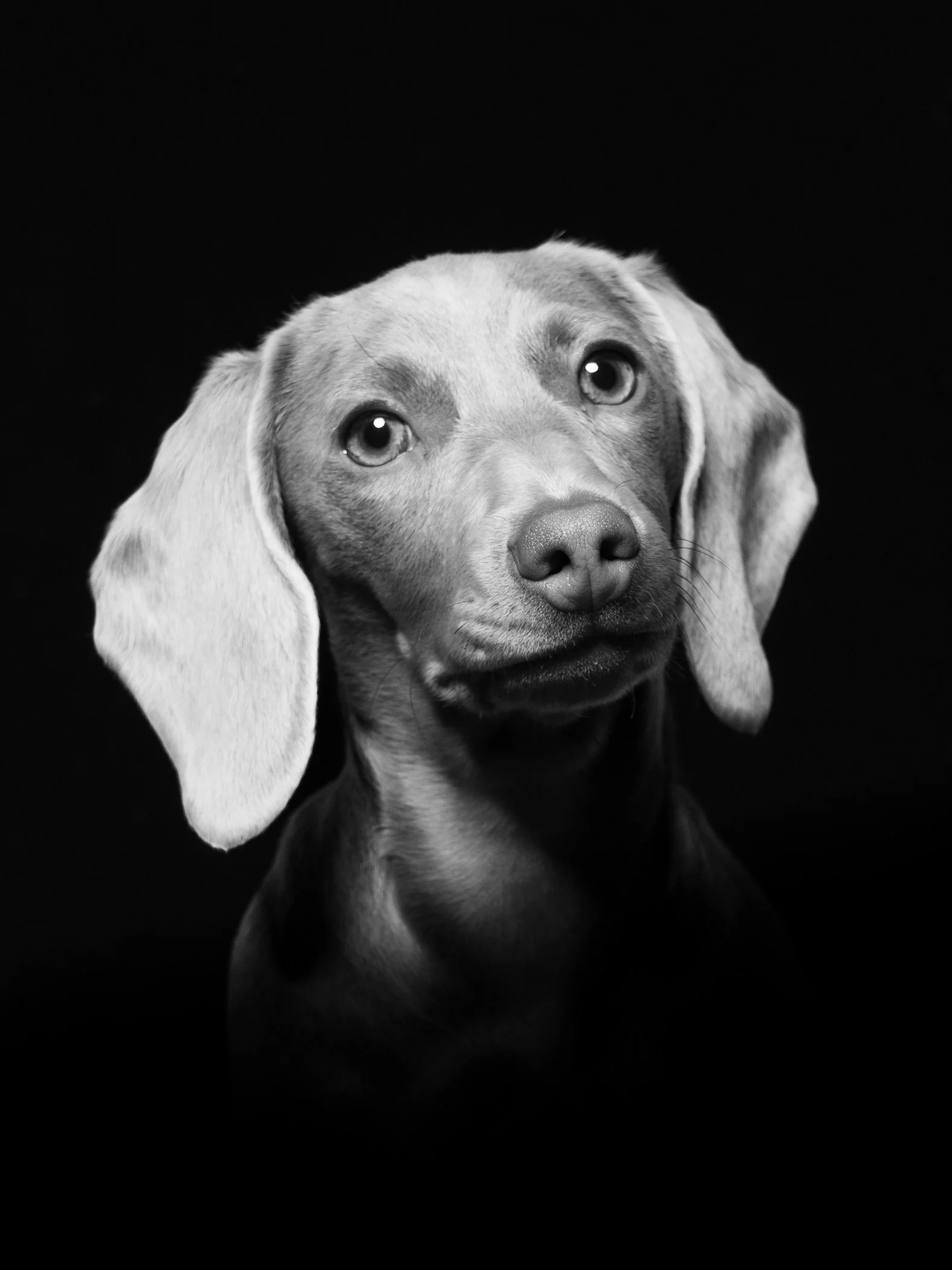 Foto 05-02-26, 15 58 18 (1).jpg