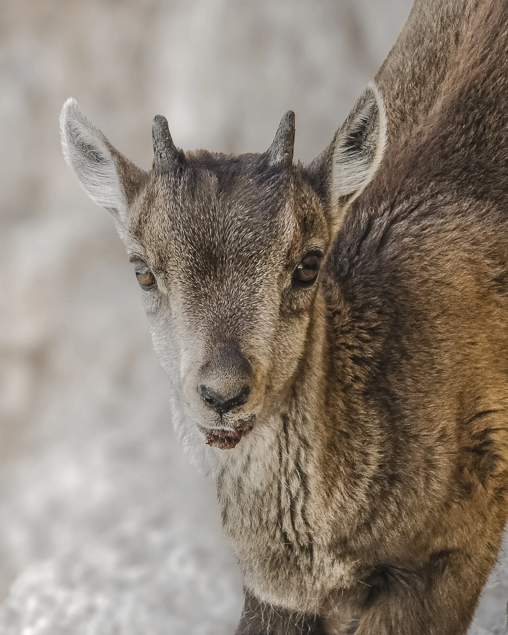 epinel 3 sett 2020 (6).JPG