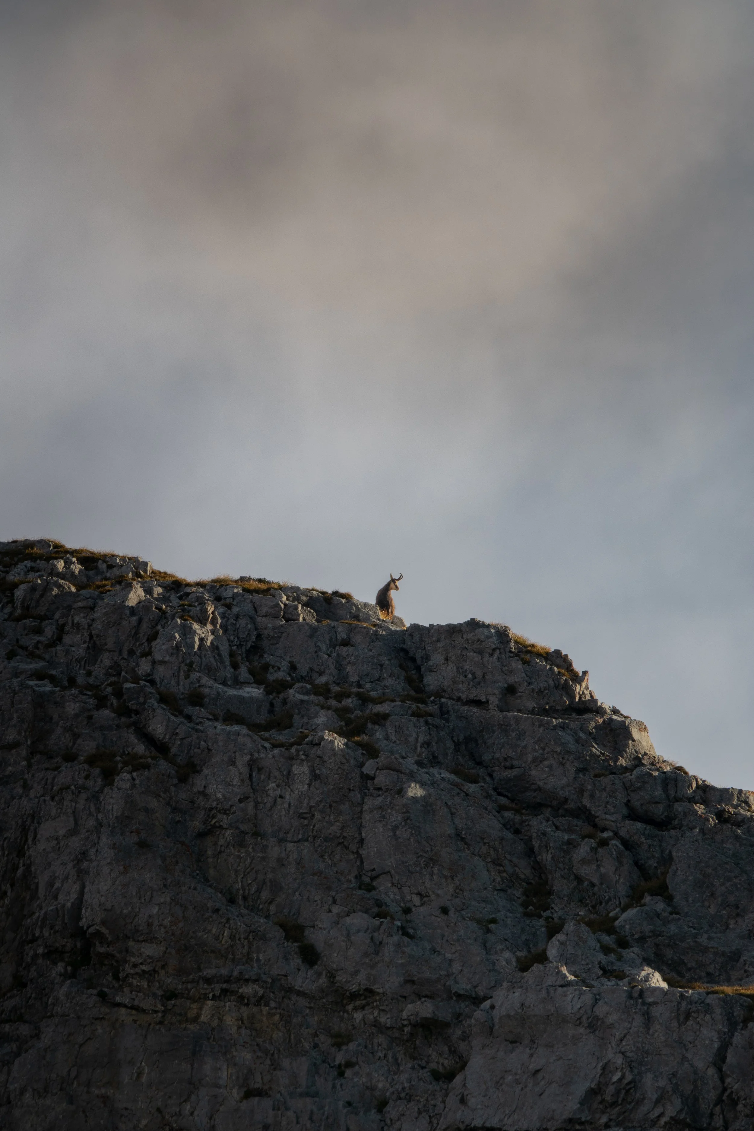 Foto 14-10-23, 08 17 17.jpg