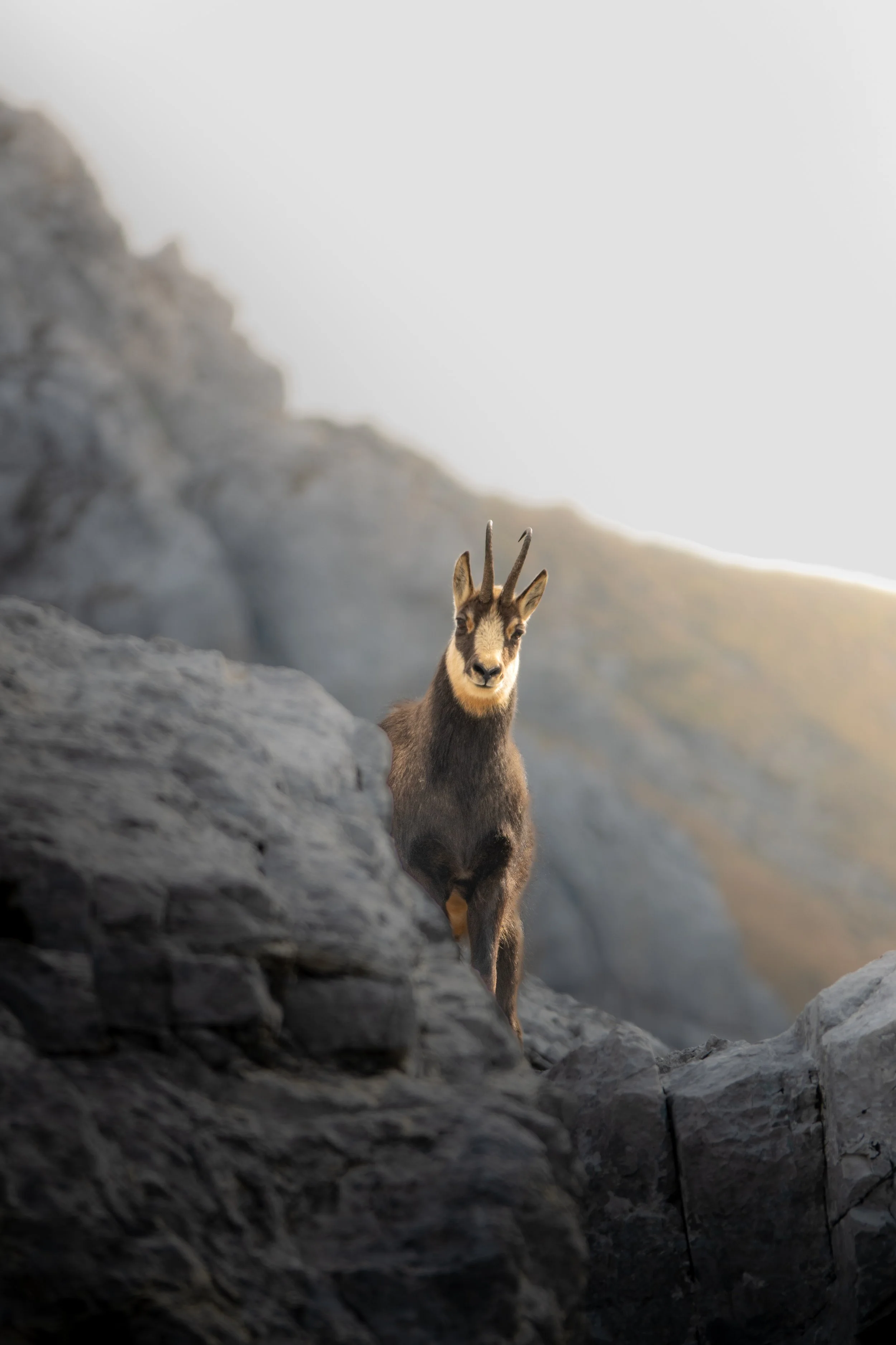 Foto 14-10-23, 09 45 06.jpg