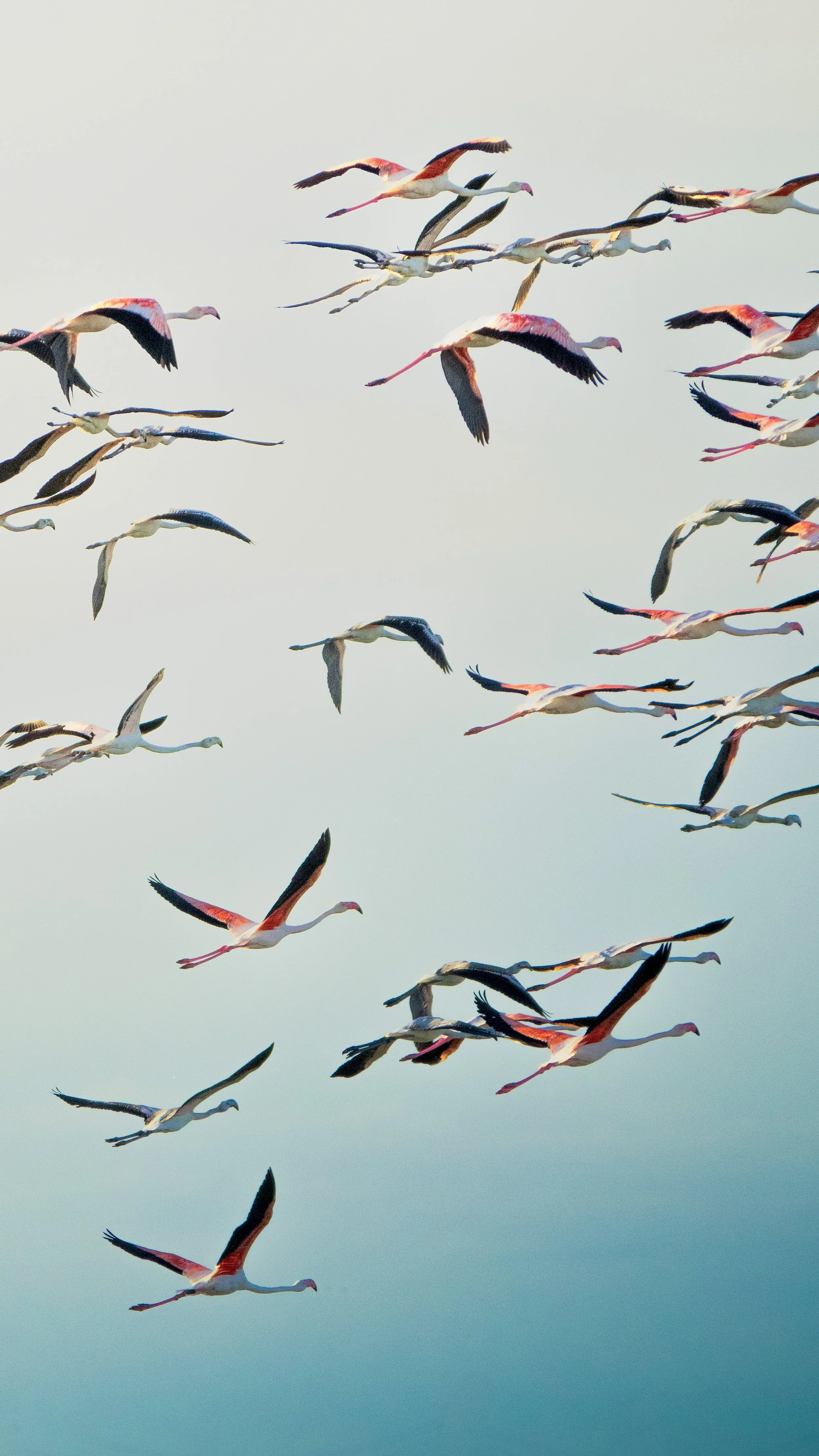 Foto 29-09-24, 17 13 52.jpg