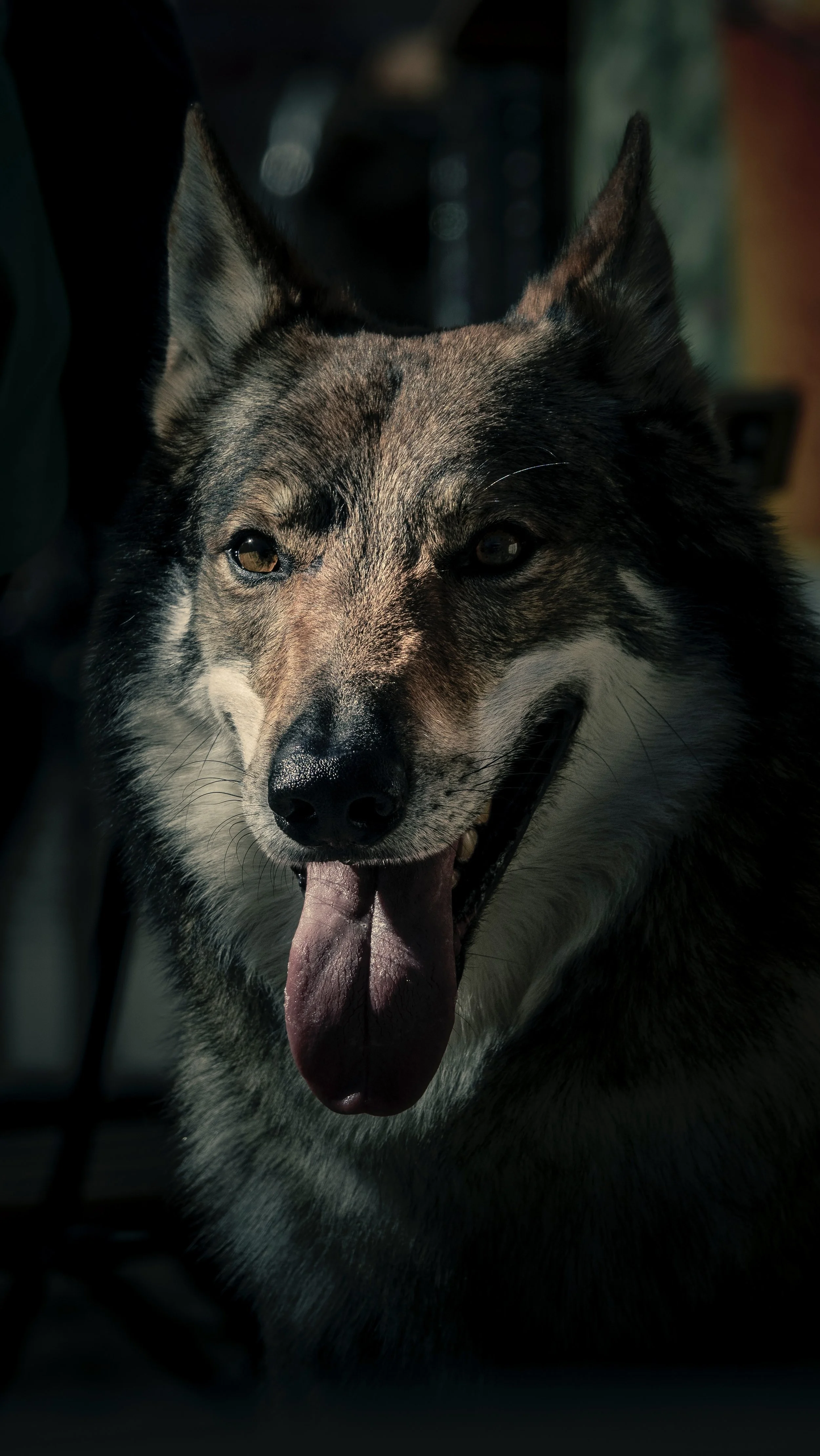 Foto 29-09-24, 13 44 49.jpg