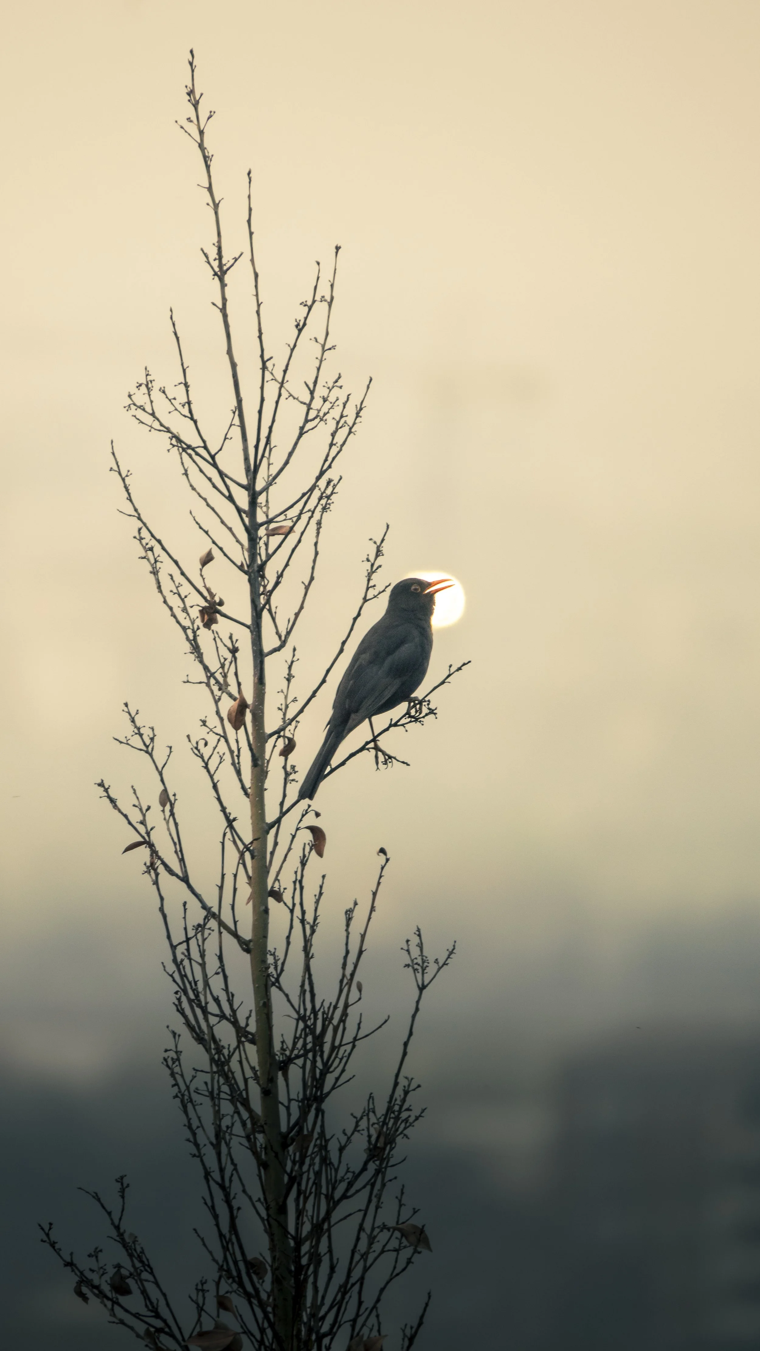 Foto 20-03-24, 06 42 34.jpg