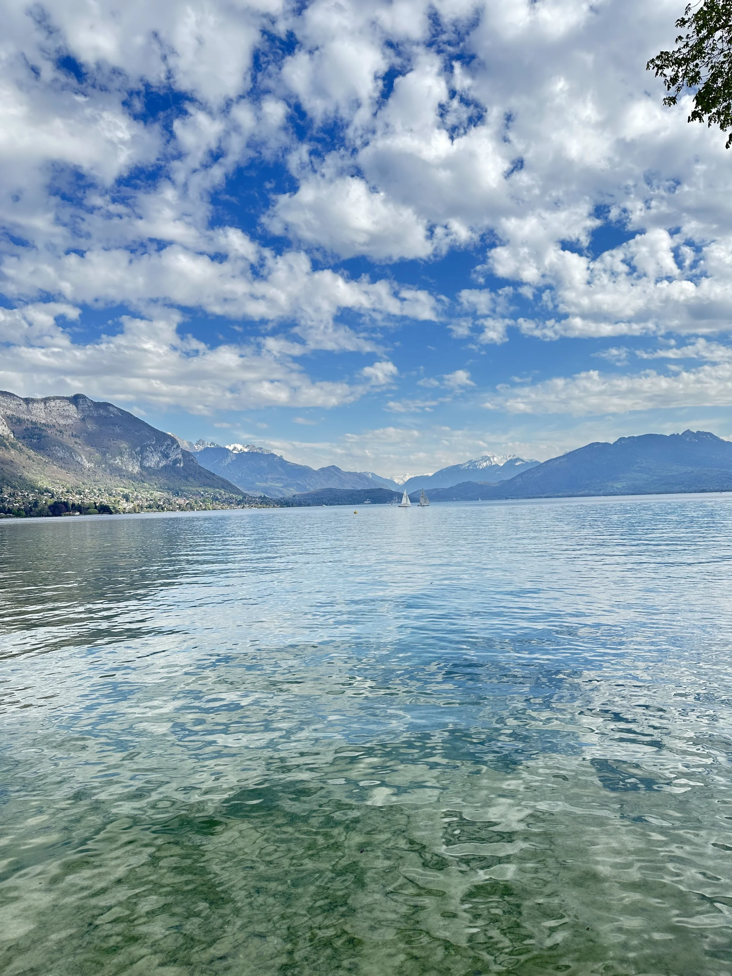 Annecy, France. Venice of Alps. Veterinary Continuing Education. Vet CE. Travel CE. Travel Veterinarian. Travel Vet. Education. RACE. AAVSB. Relax PRN. Relax. Work life balance. Veterinary mental.