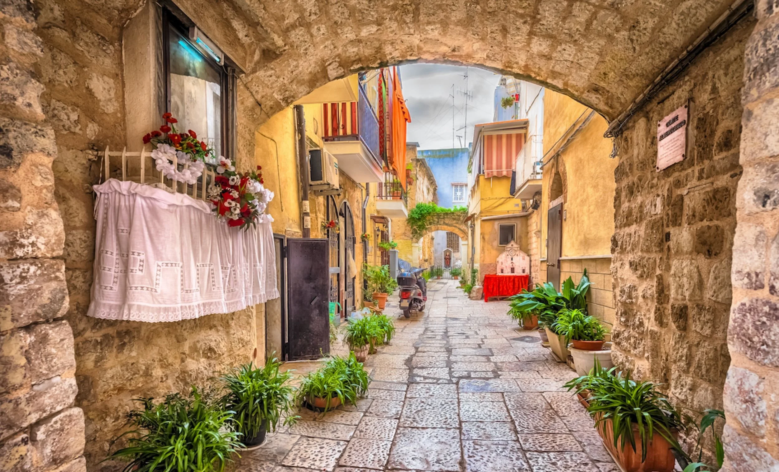 BARI.jpeg