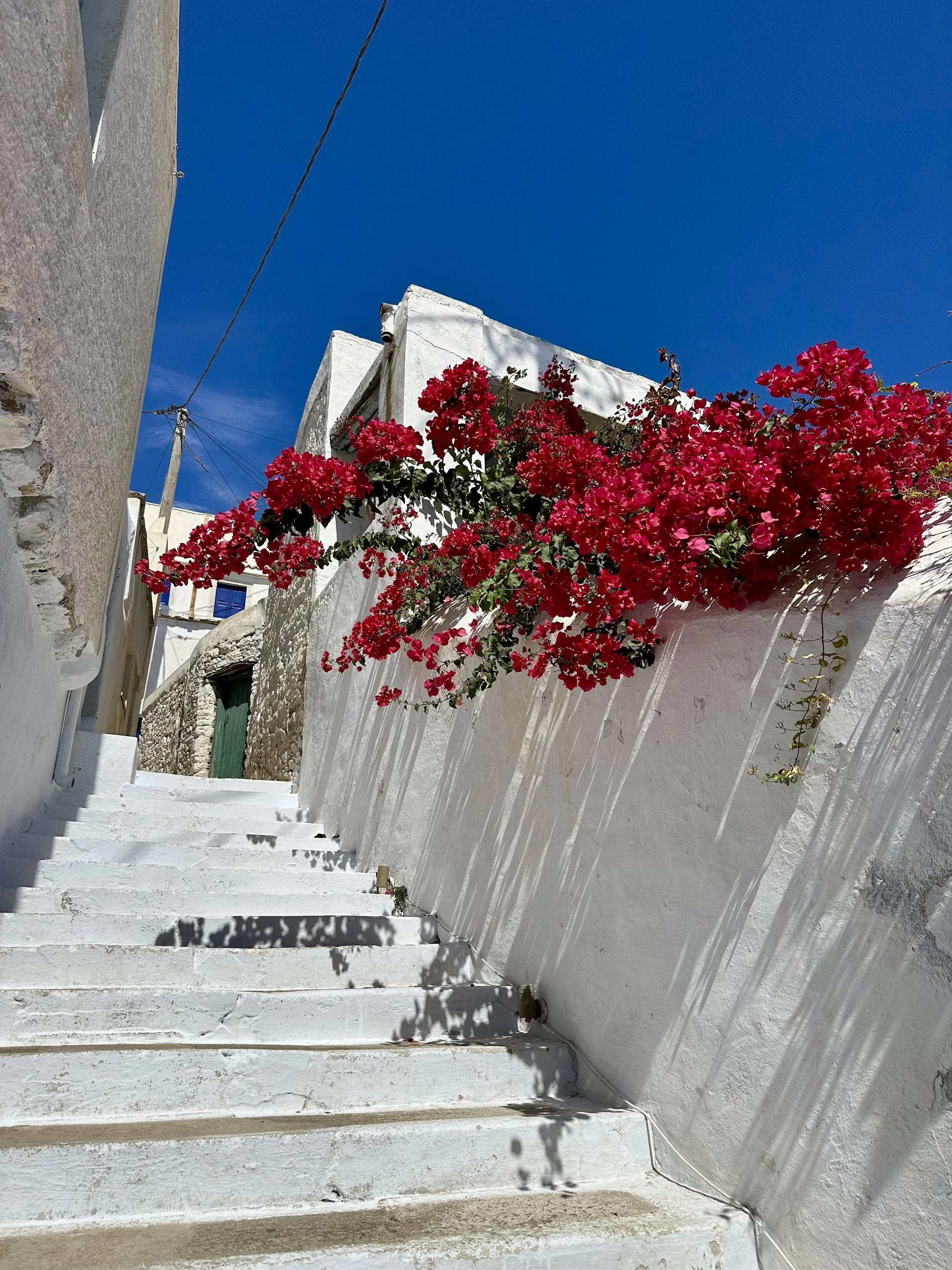 Greece. Travel. Veterinary Continuing Education. Vet CE. Travel CE. Travel Veterinarian. Travel Vet. Education. RACE. AAVSB. Relax PRN. Relax. Work life balance. Veterinary mental health.