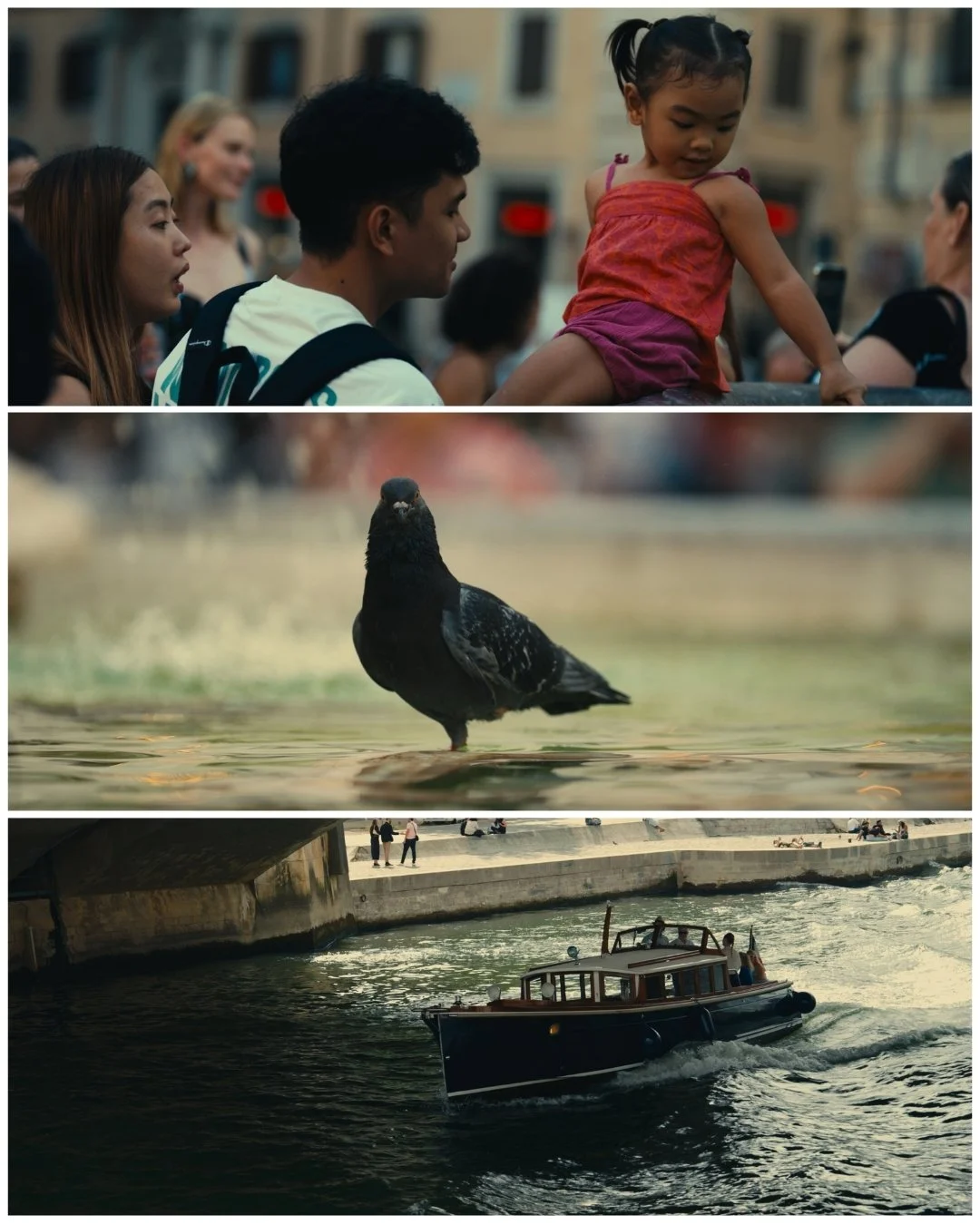 A collage of three images, showing a group of people with a young girl sitting on a railing, a black pigeon standing in water, and a boat sailing under a bridge.