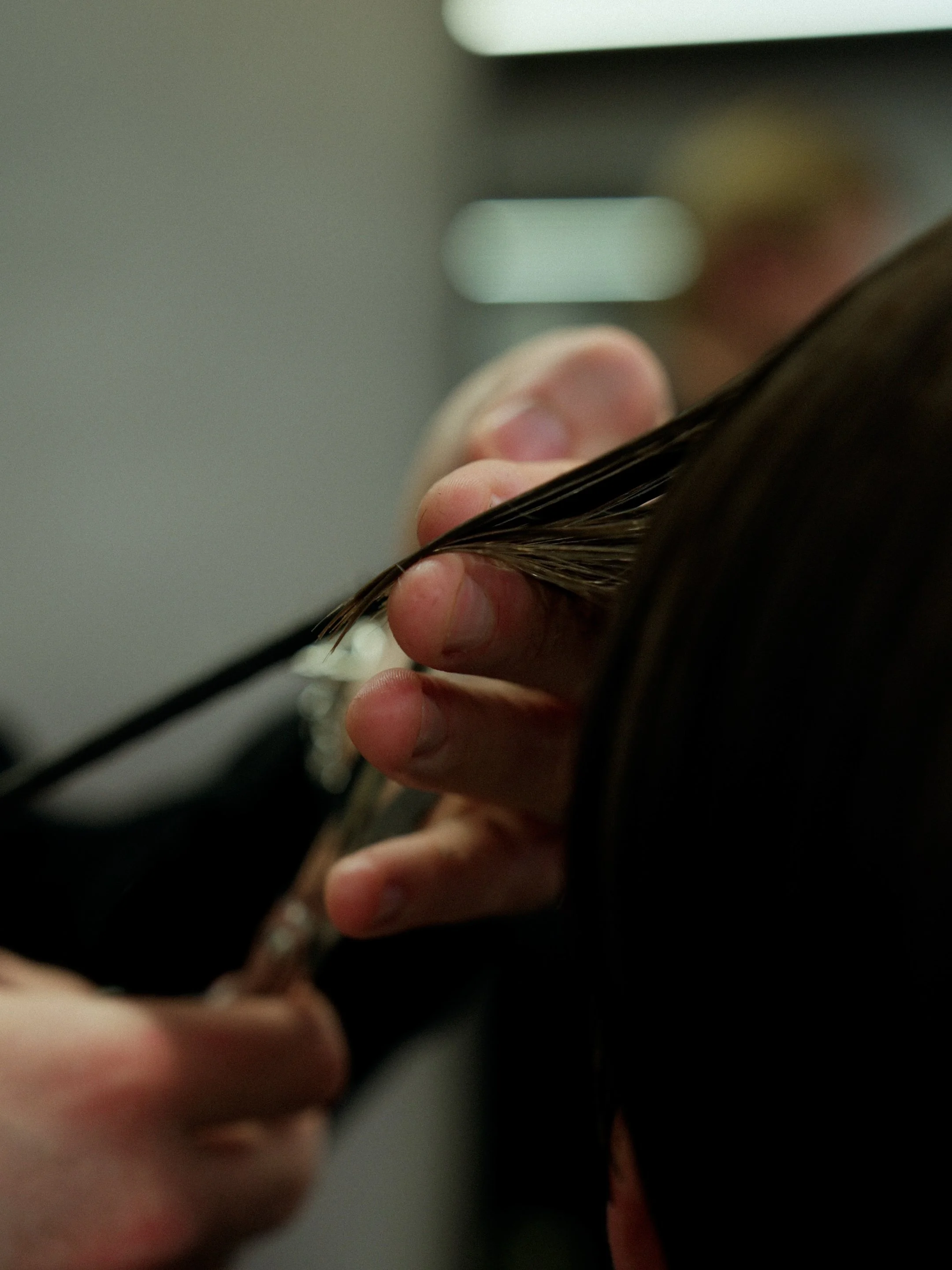 A person getting a haircut, holding a section of wet hair.